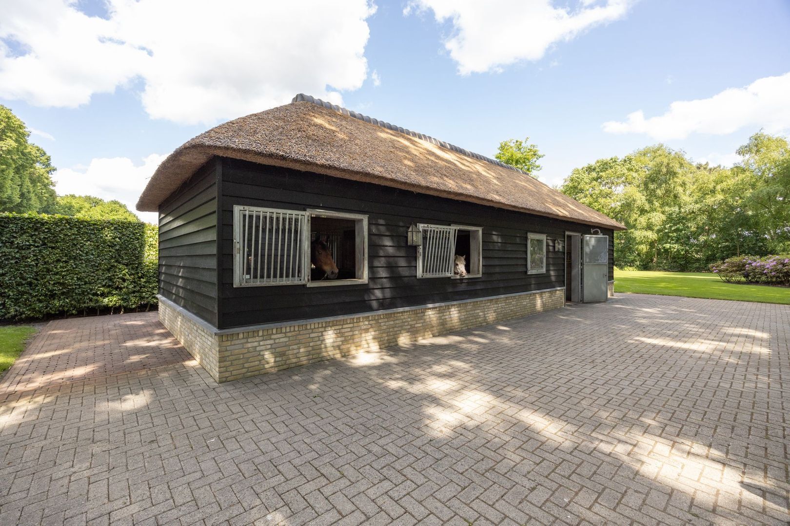 Zoeksestraat 19, Schijf foto-77