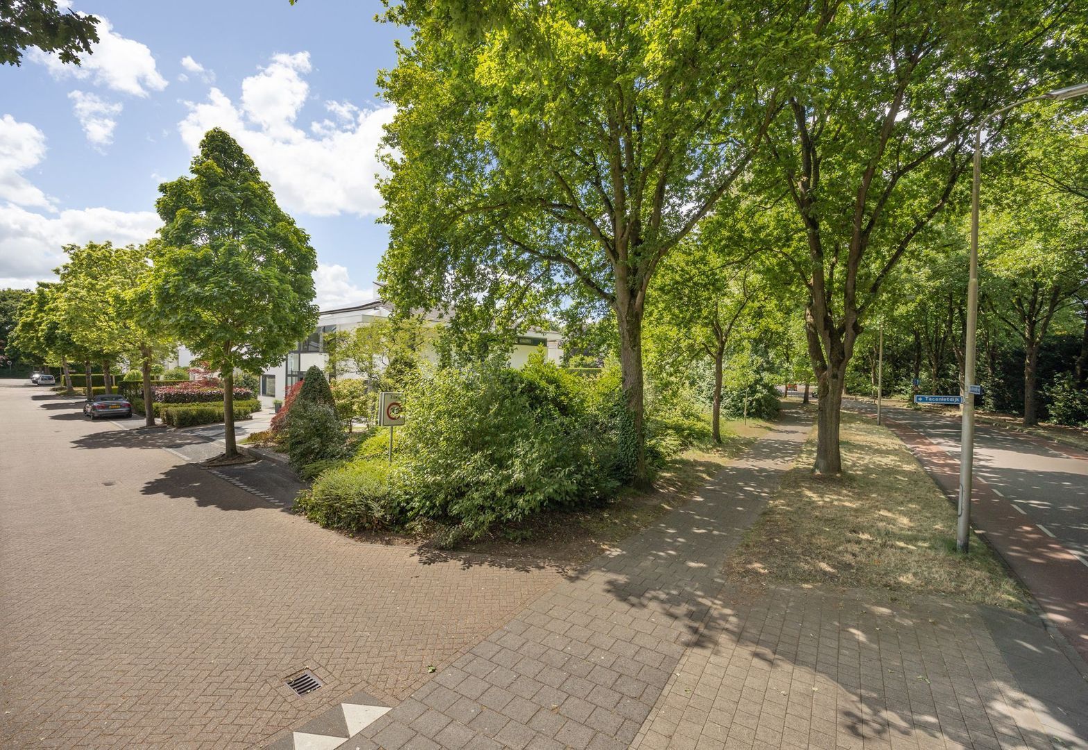 Taconietdijk 2, Roosendaal foto-68