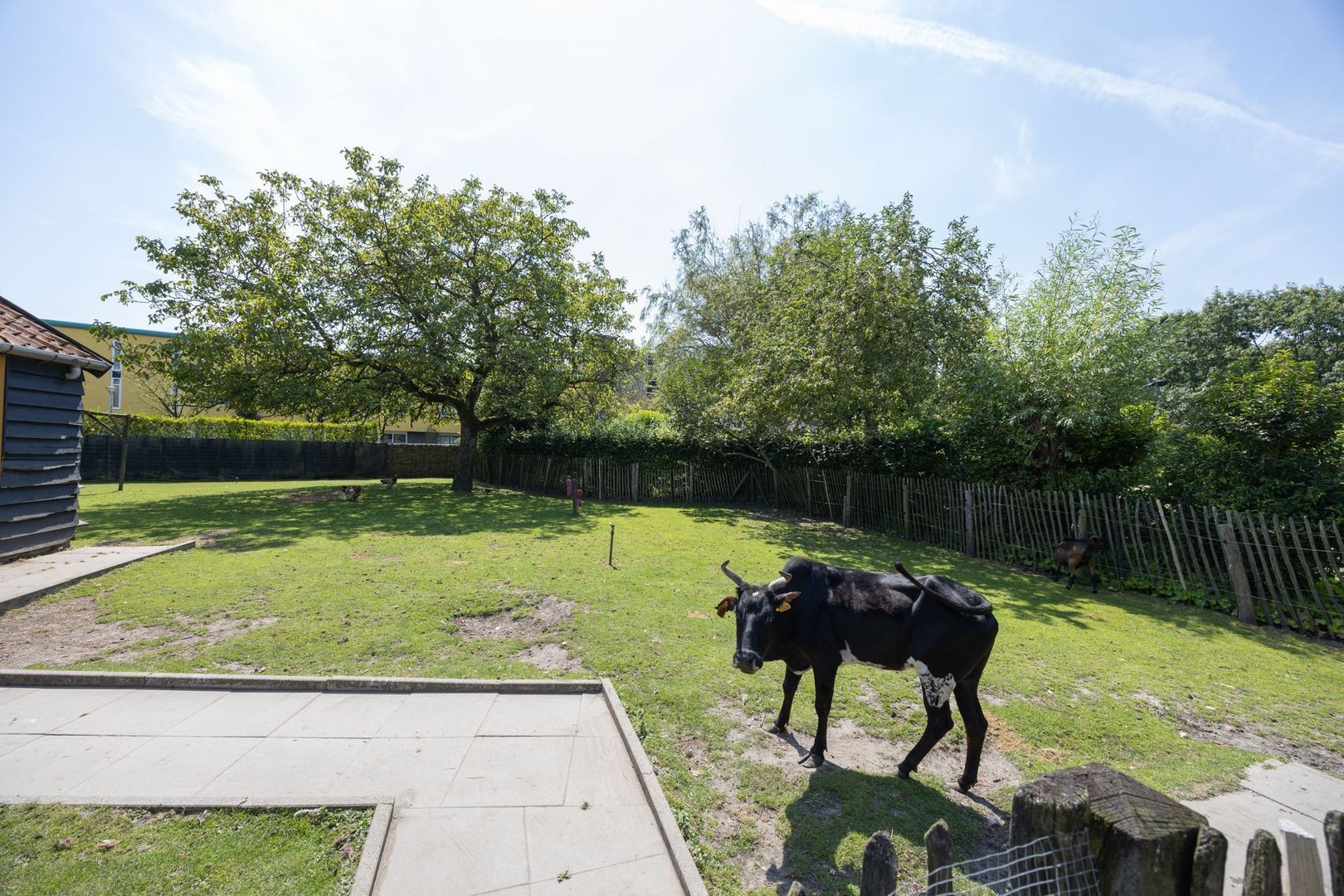 Hoge Neerstraat 15, Etten-Leur foto-87