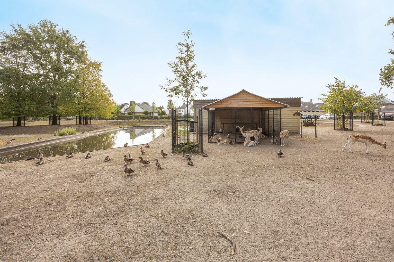 Halderbergselaan 27, Hoeven foto-79