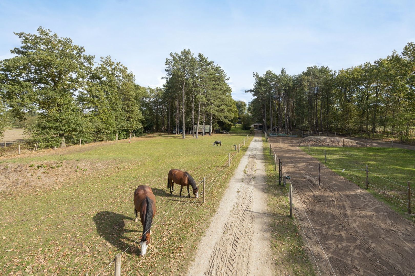 Hogestraat 3, Bosschenhoofd foto-79