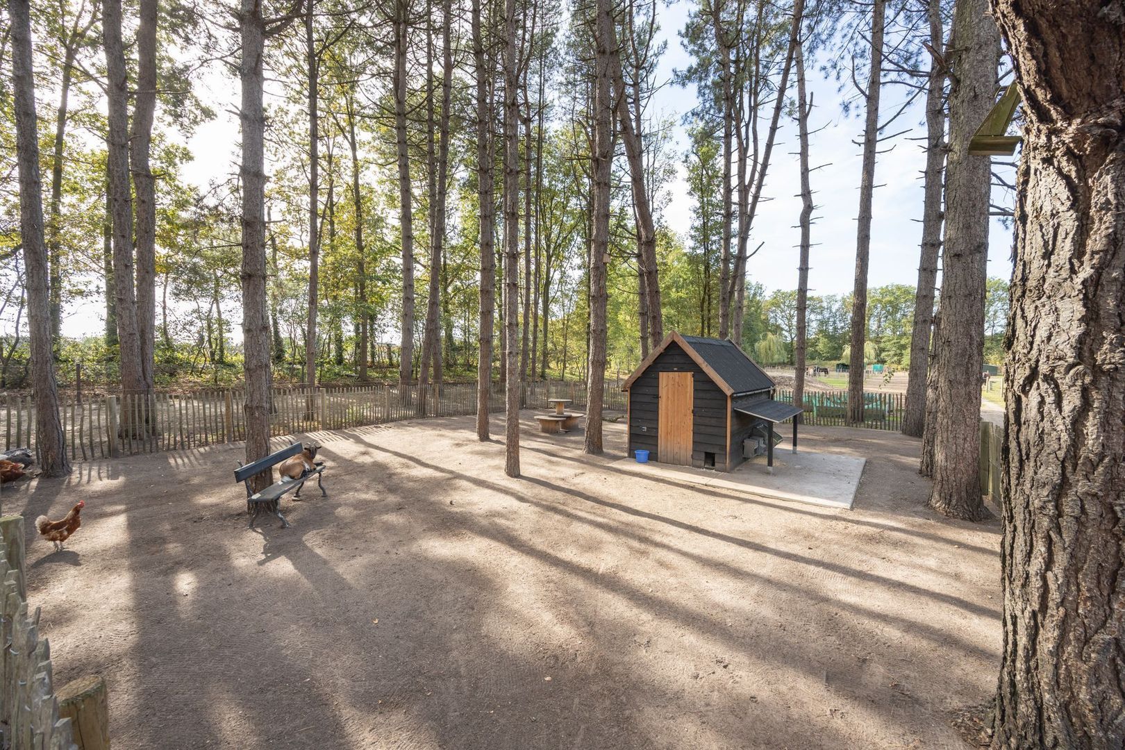 Hogestraat 3, Bosschenhoofd foto-75