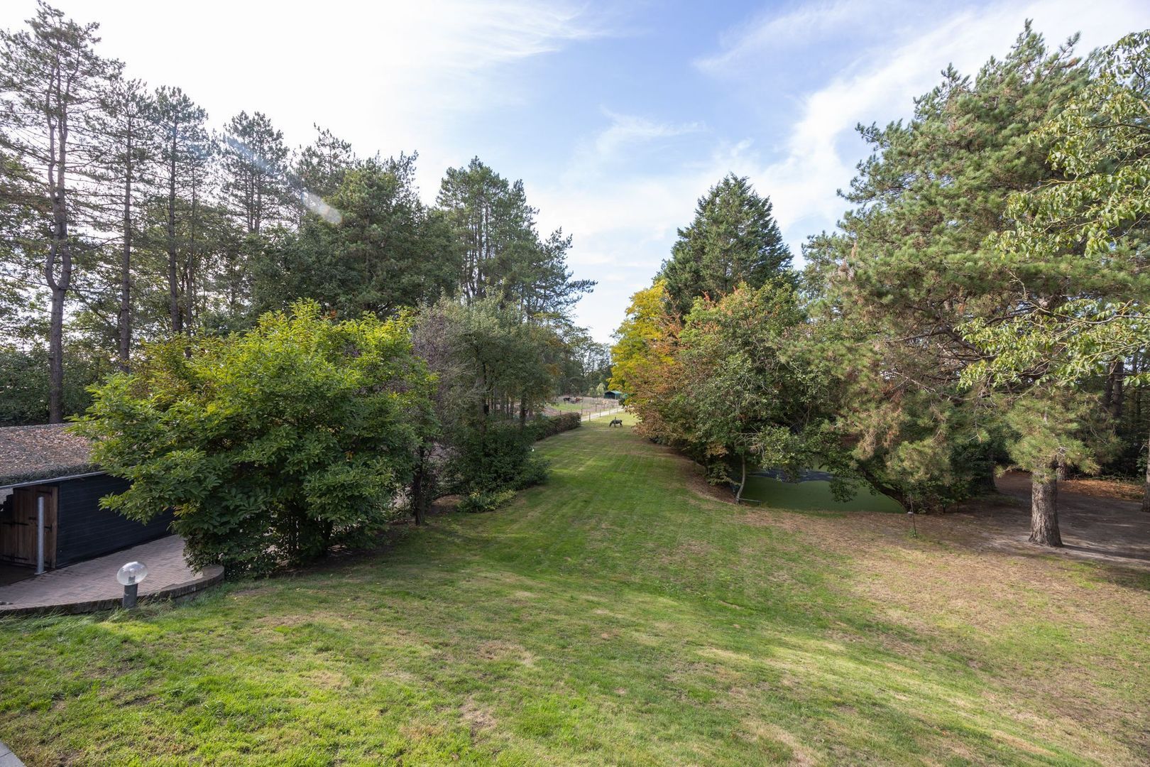 Hogestraat 3, Bosschenhoofd foto-51