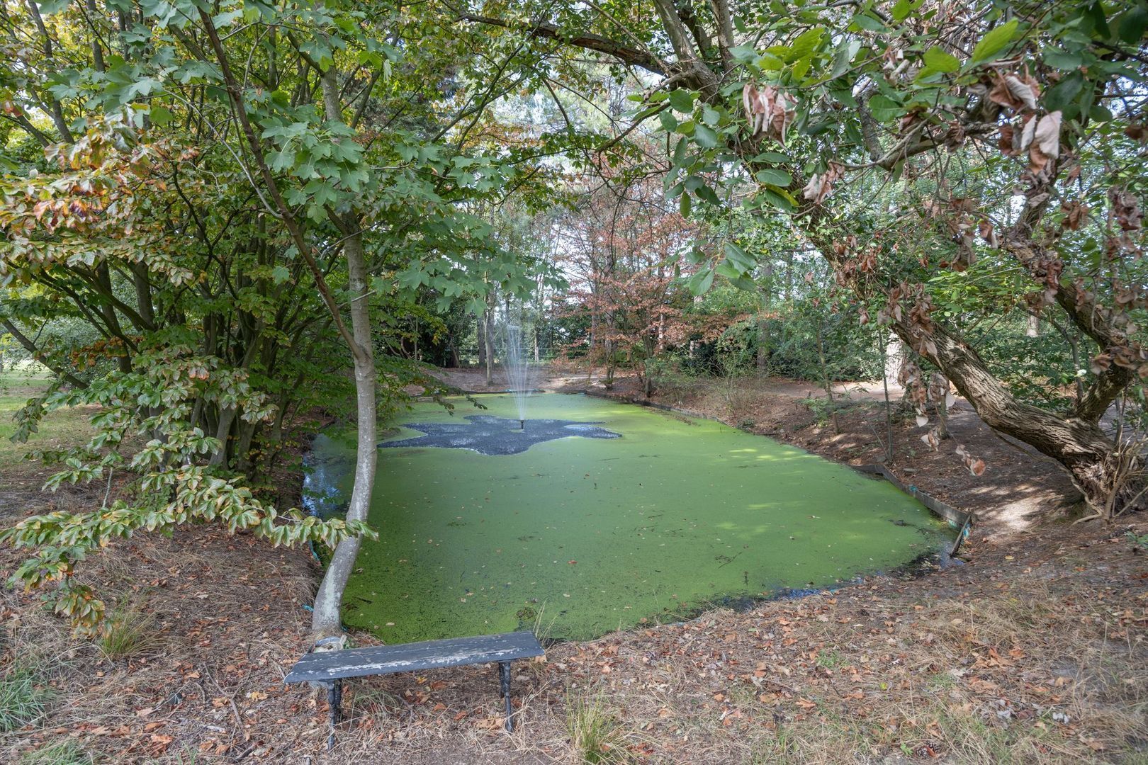 Hogestraat 3, Bosschenhoofd foto-71