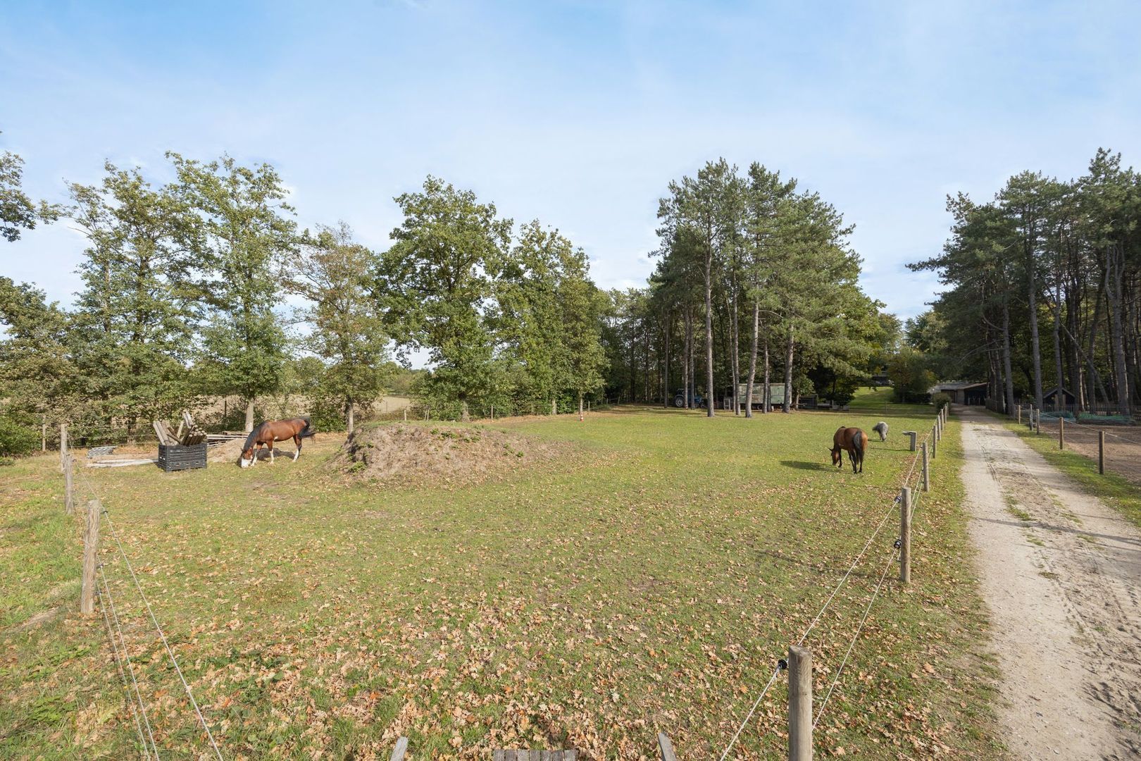 Hogestraat 3, Bosschenhoofd foto-78