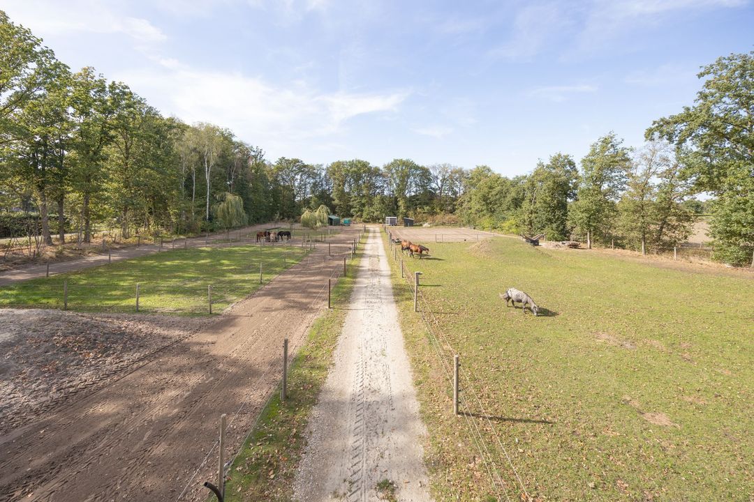 Hogestraat 3, Bosschenhoofd foto-3