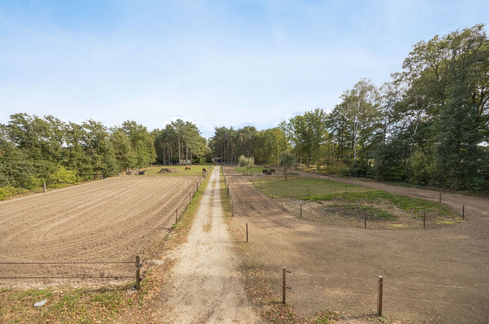 Hogestraat 3, Bosschenhoofd foto-80