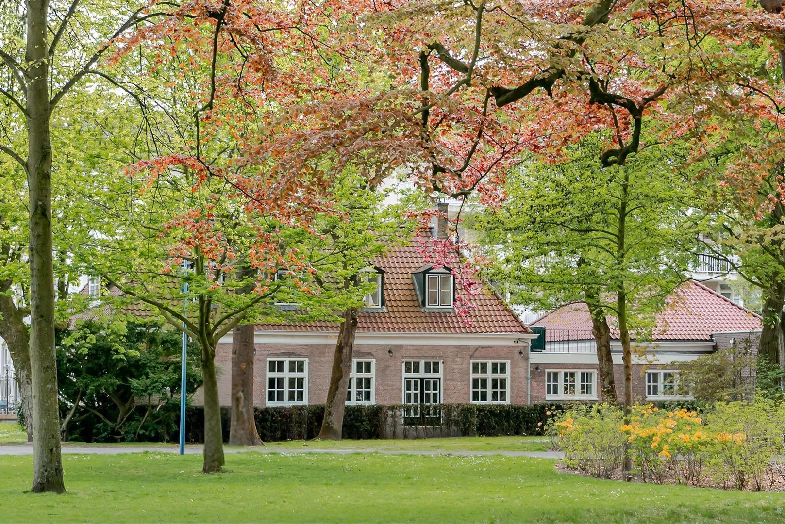 Catharinastraat 21 F, Breda foto-0