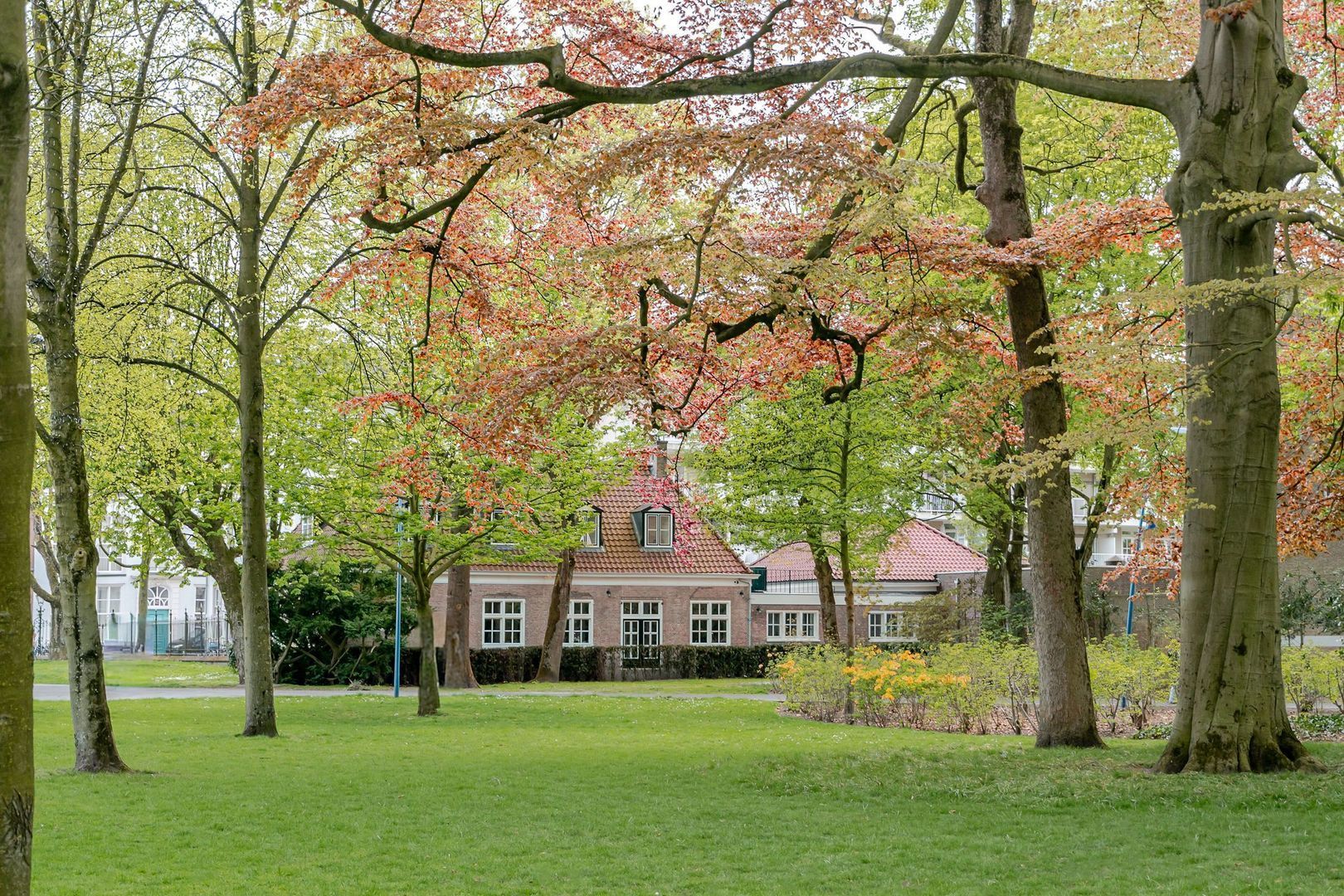 Catharinastraat 21 F, Breda foto-6