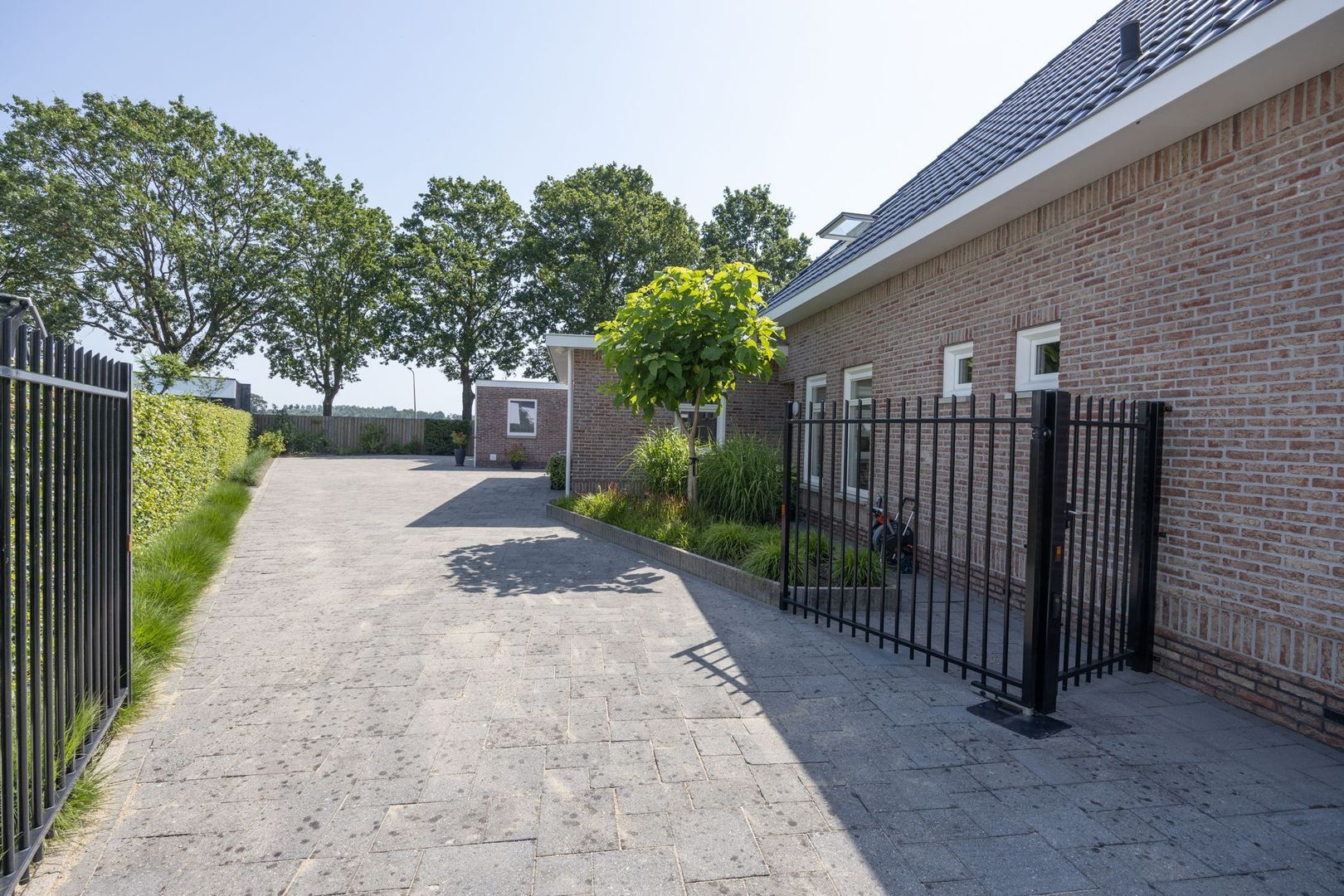 Pavana 10, St. Willebrord foto-65