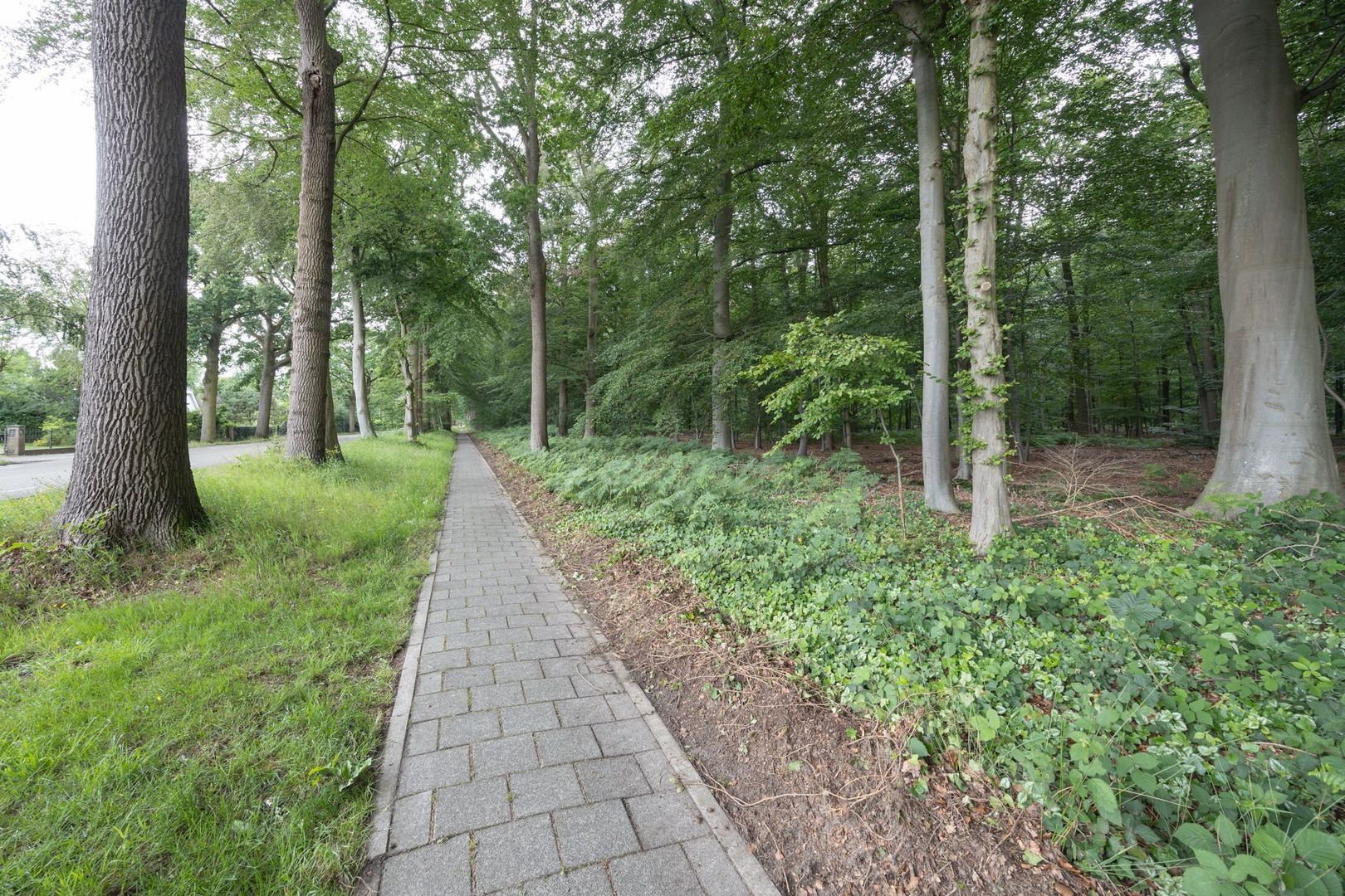 Oude Liesboslaan 261, Breda foto-95