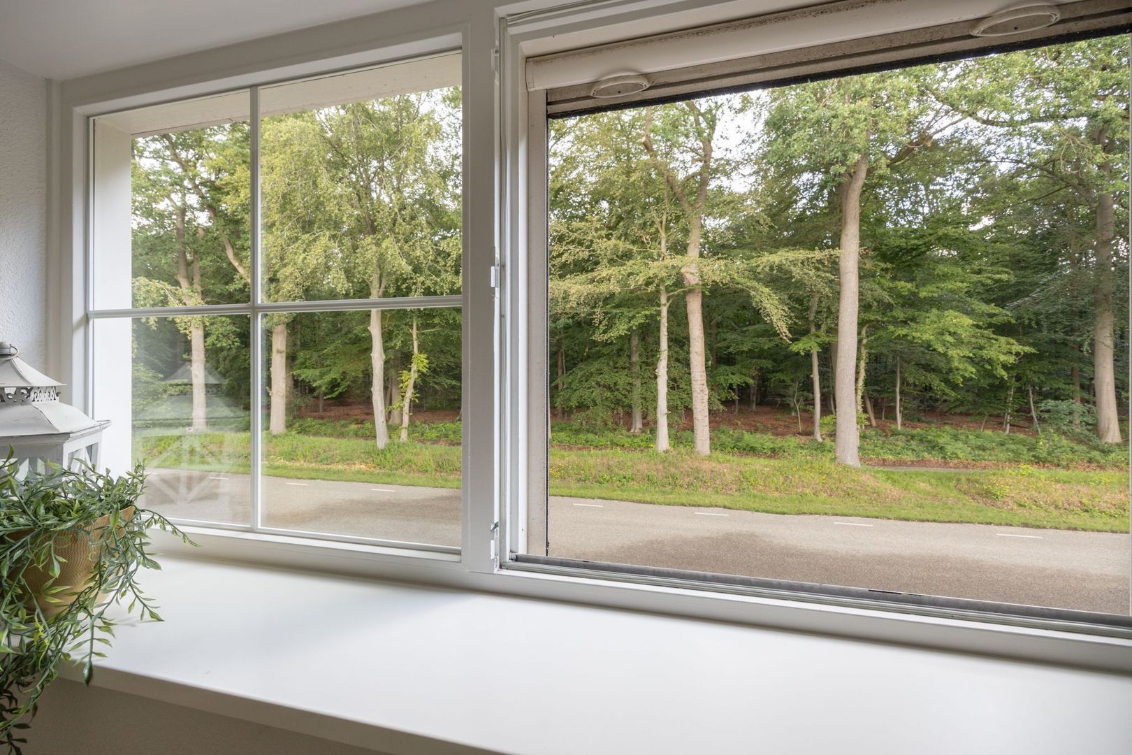 Oude Liesboslaan 261, Breda foto-37
