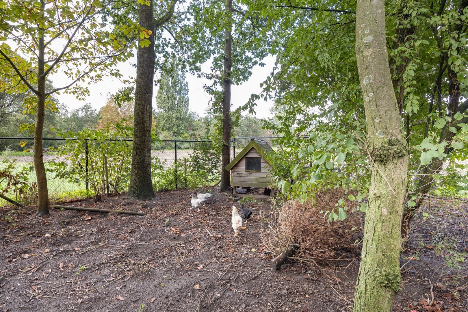 Hoge Vaartkant 18, Etten-Leur foto-82