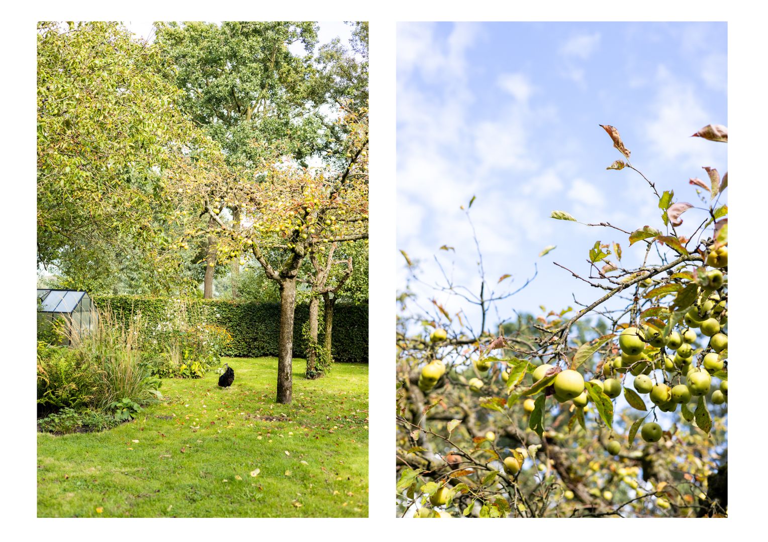 Hoge Vaartkant 18, Etten-Leur foto-77