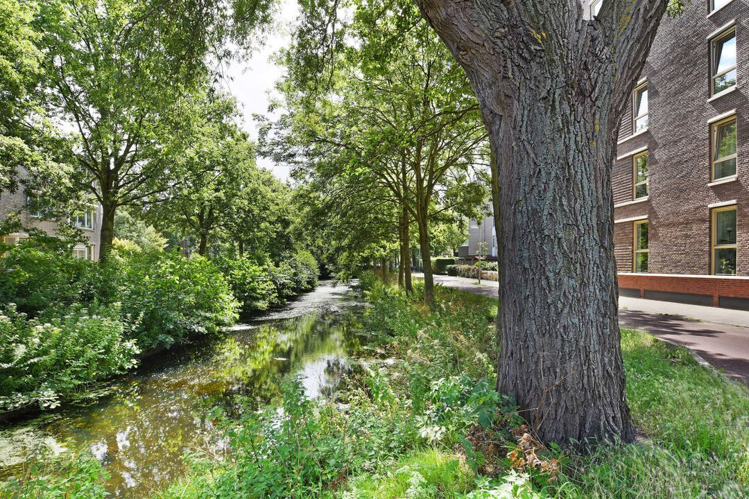 Oude Haagweg 46