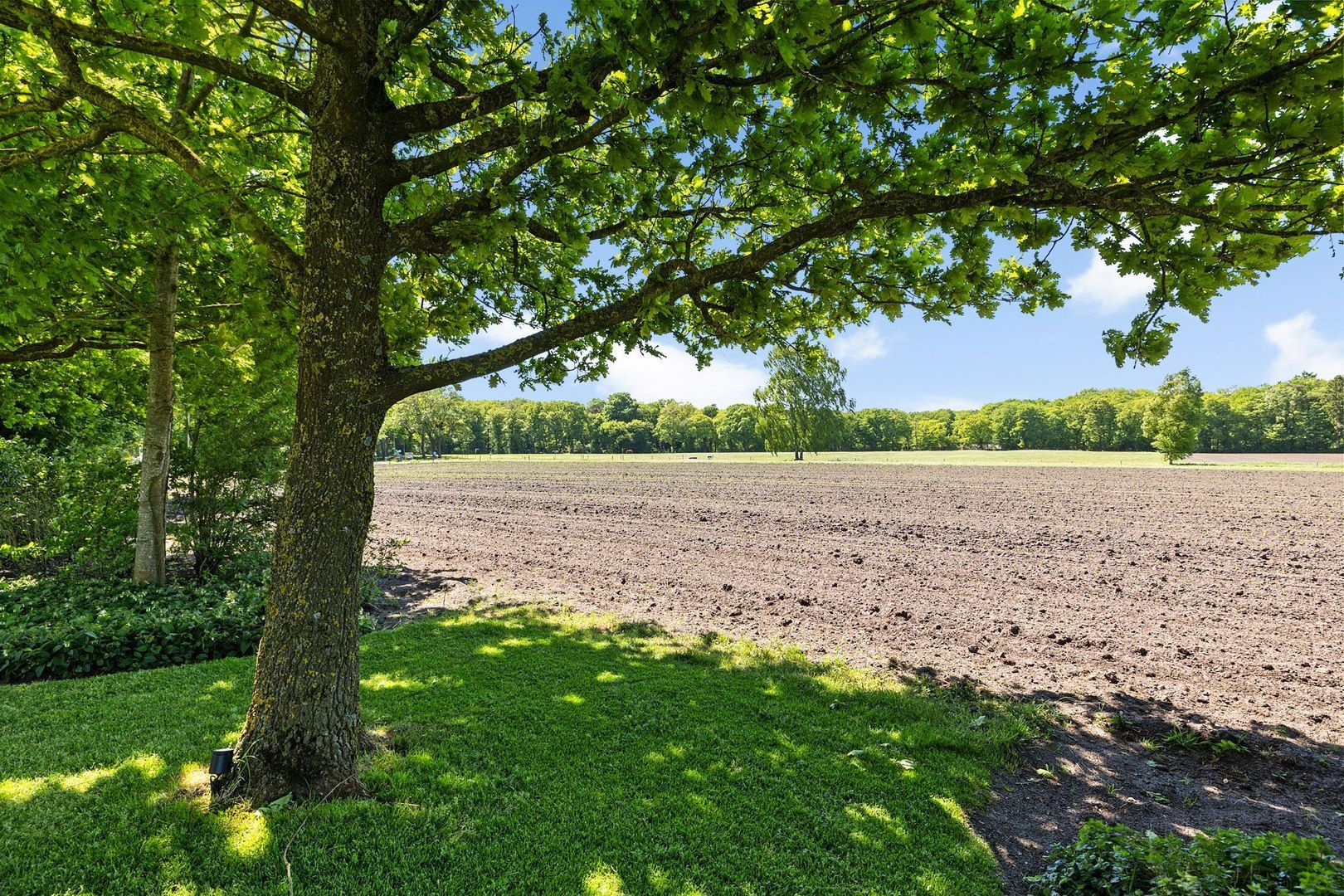 Elperstraat 8, Westerbork foto-57