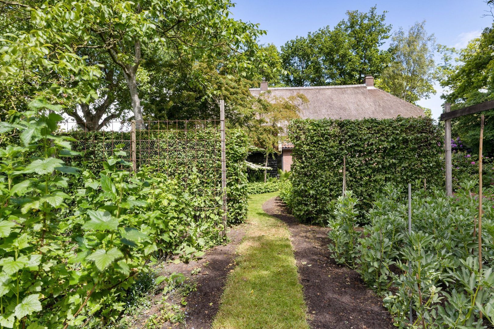 Drijberseweg 12, Wijster foto-53