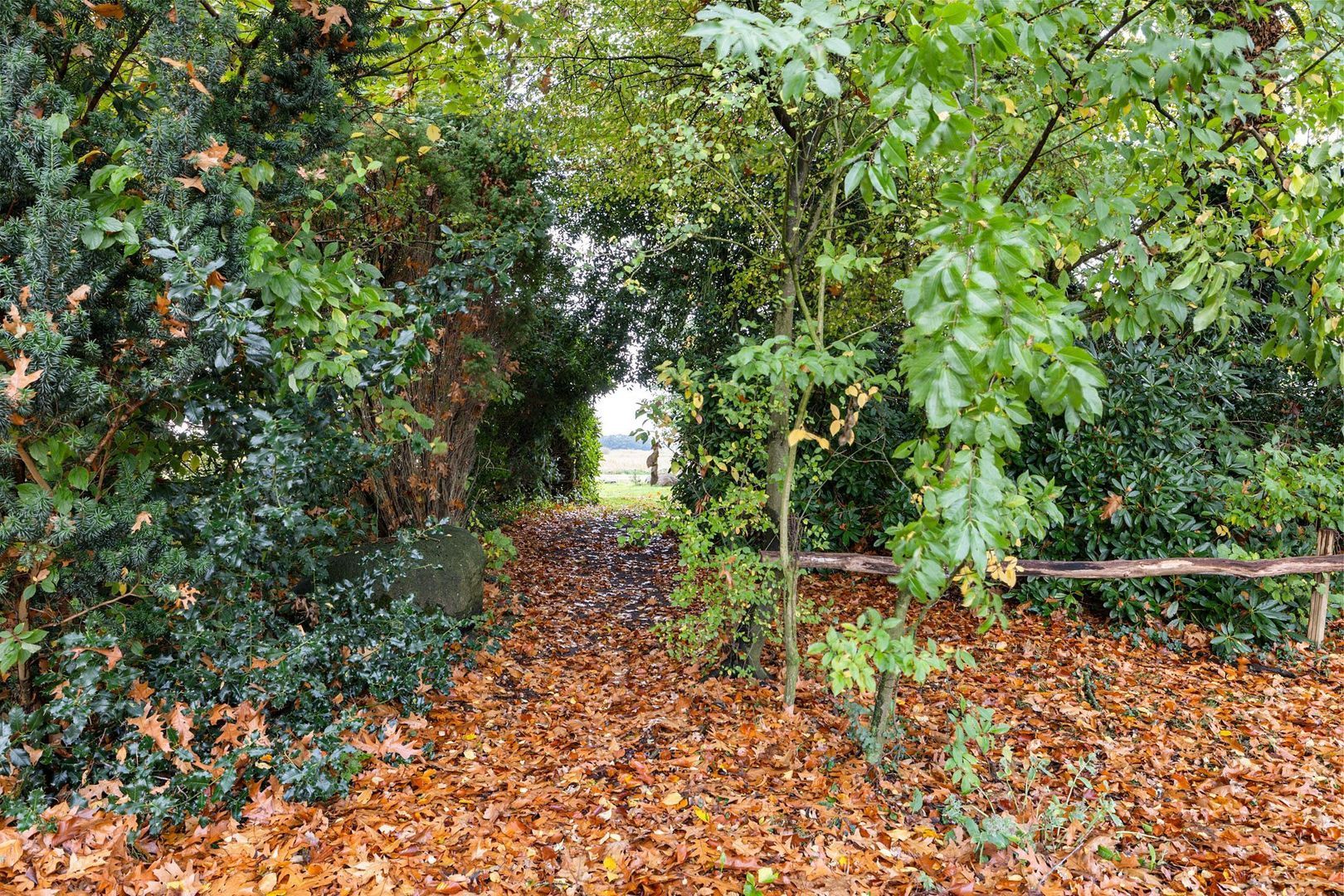 Westdorperstraat 19, Borger foto-44