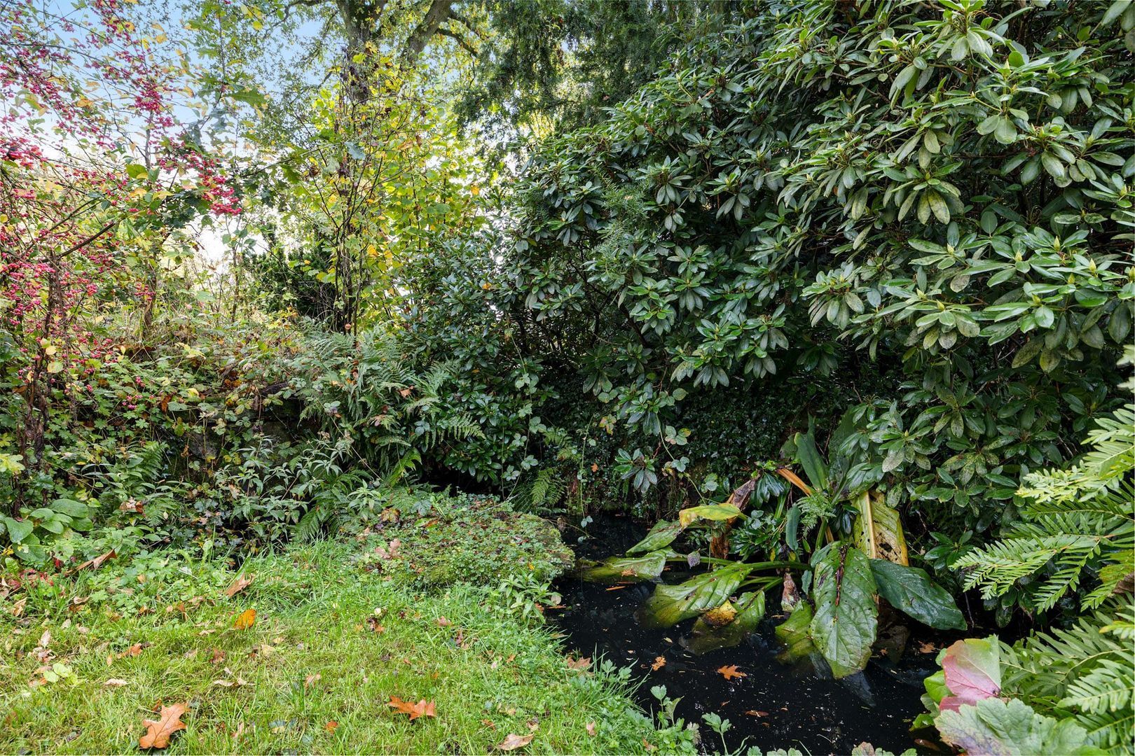 Westdorperstraat 19, Borger foto-33