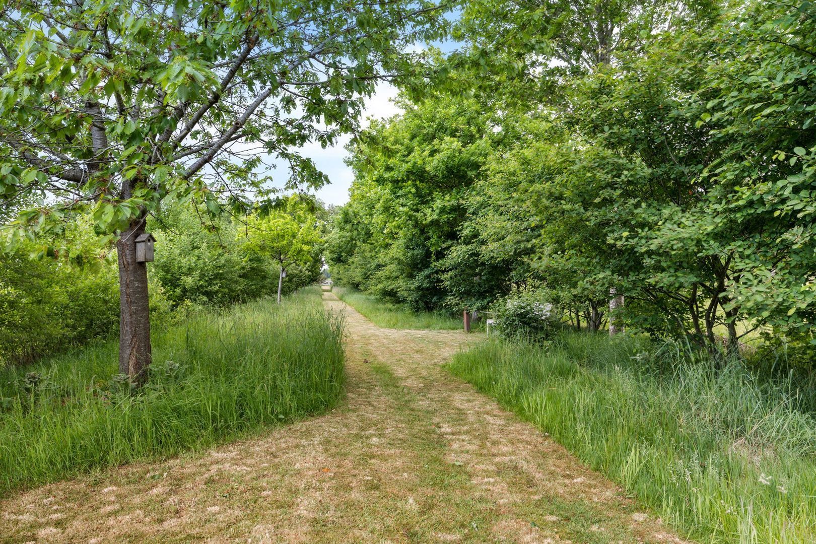 Drijberseweg 12, Wijster foto-42