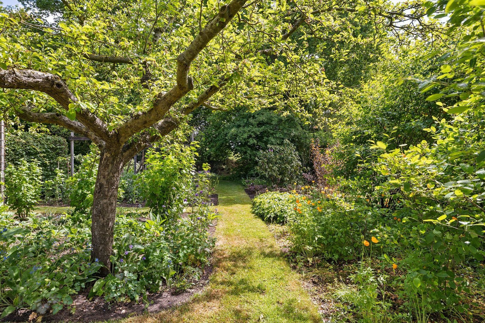 Drijberseweg 12, Wijster foto-52