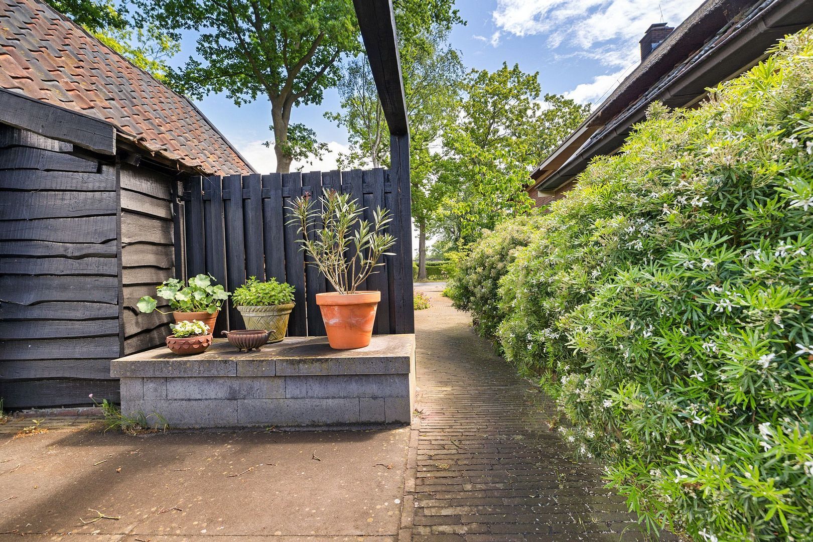 Drijberseweg 12, Wijster foto-60