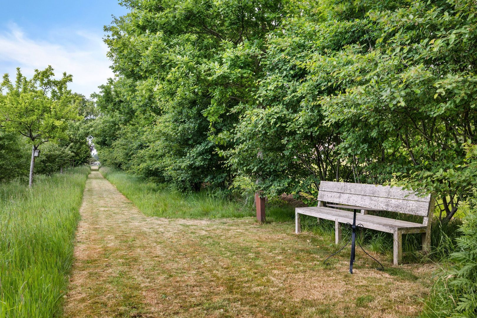 Drijberseweg 12, Wijster foto-43