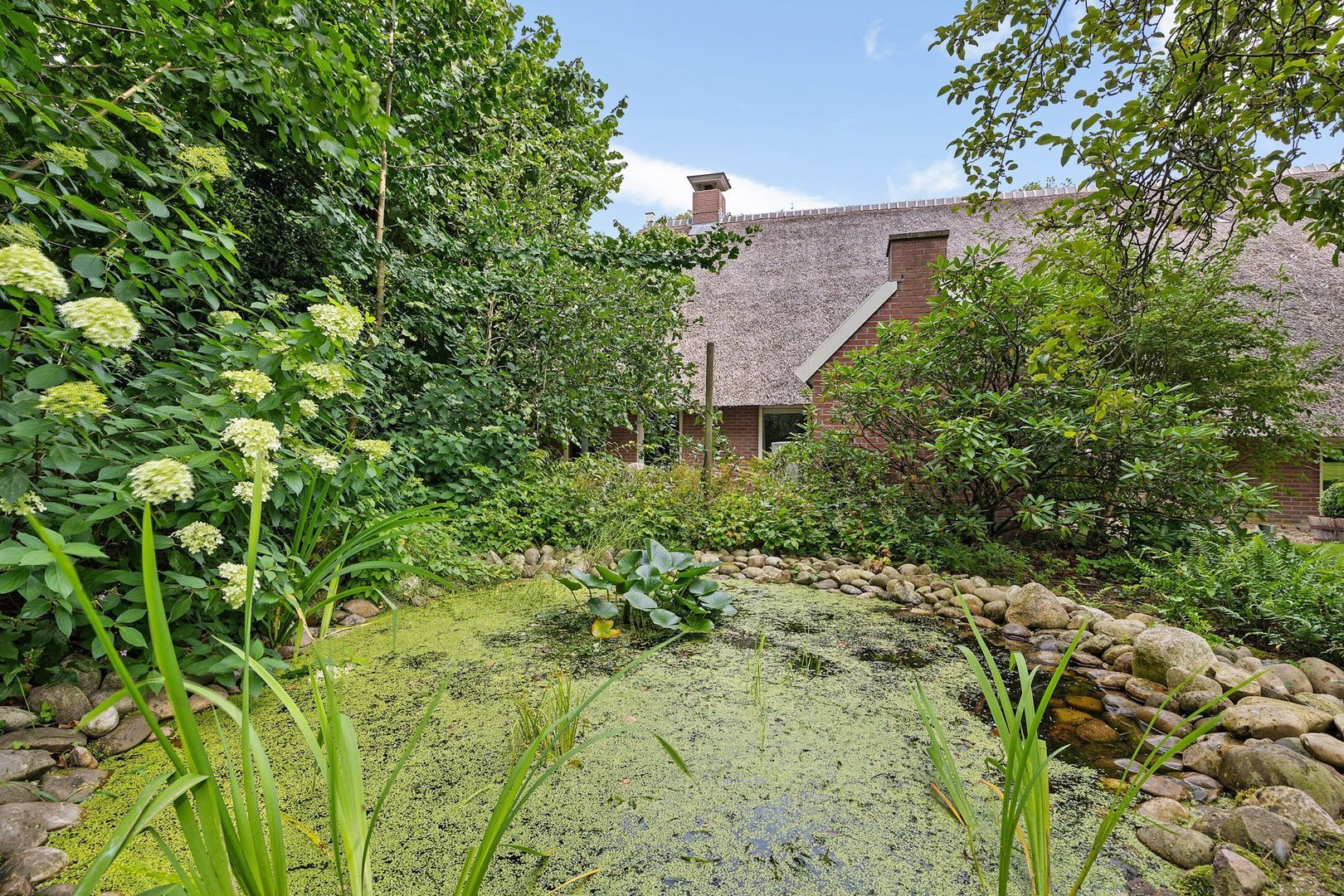 Grote Brink 46, Rolde foto-60