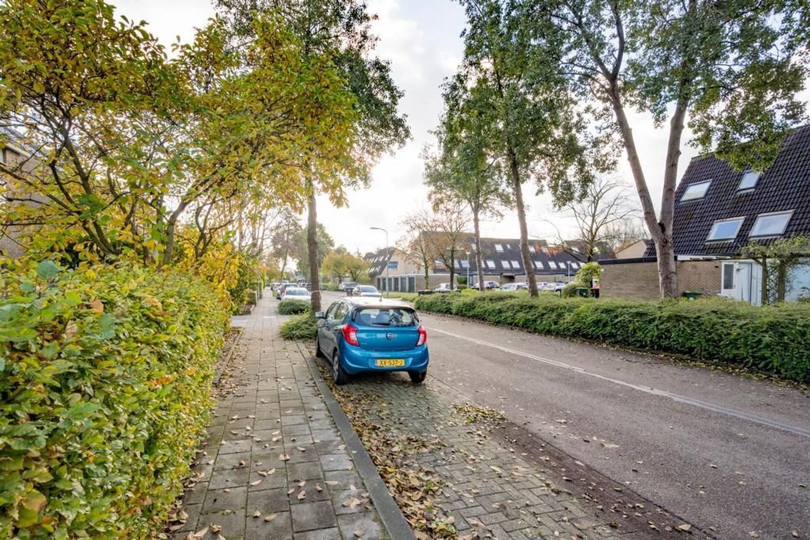 Brahmslaan 26, Nijkerk foto-33