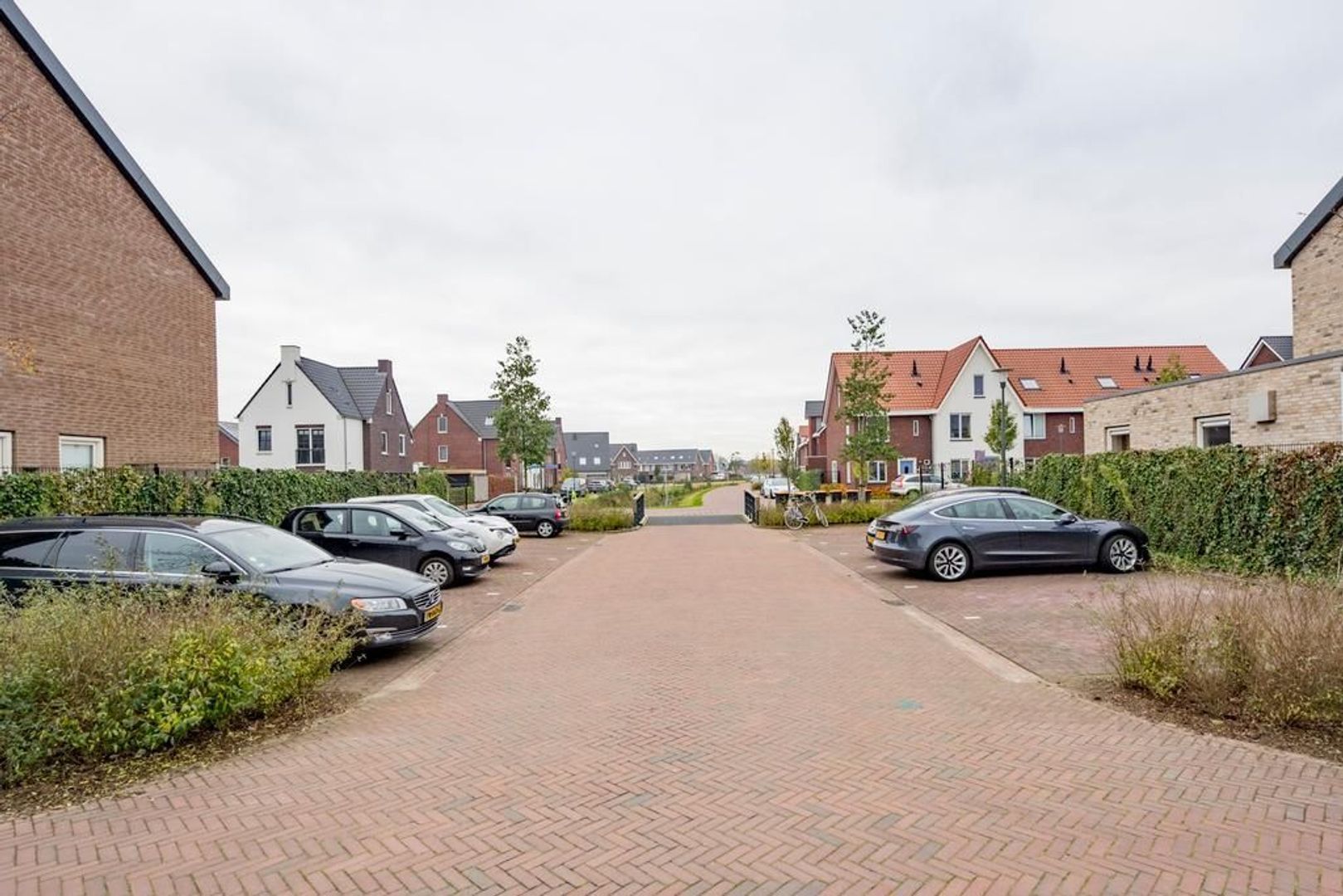Framboos 2, Nijkerk foto-39