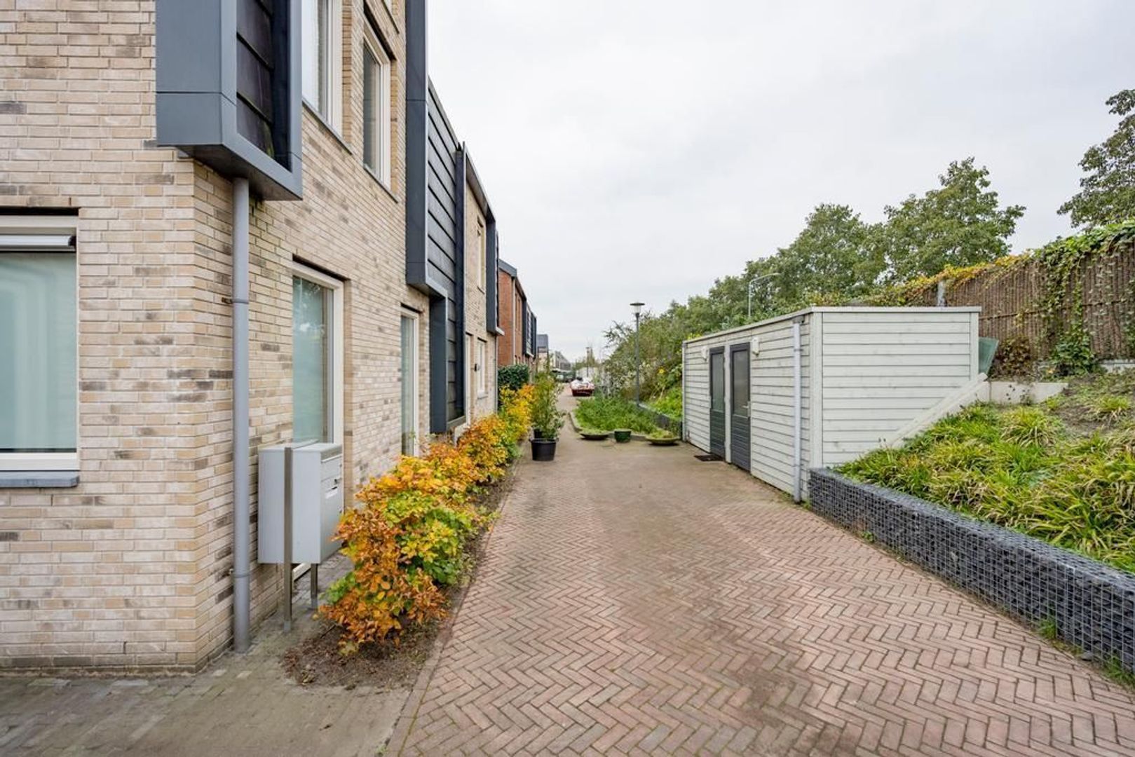 Framboos 2, Nijkerk foto-36