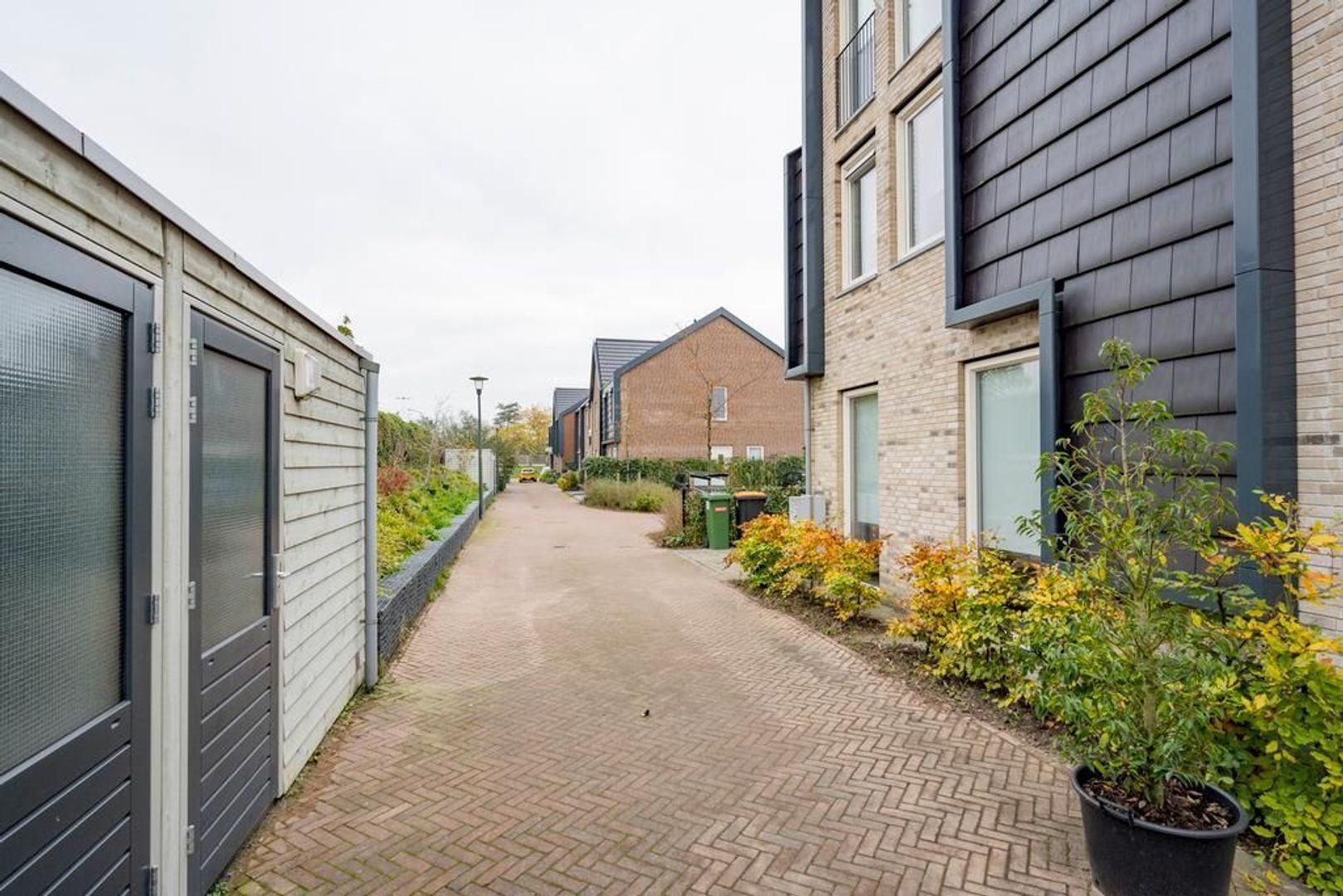 Framboos 2, Nijkerk foto-37