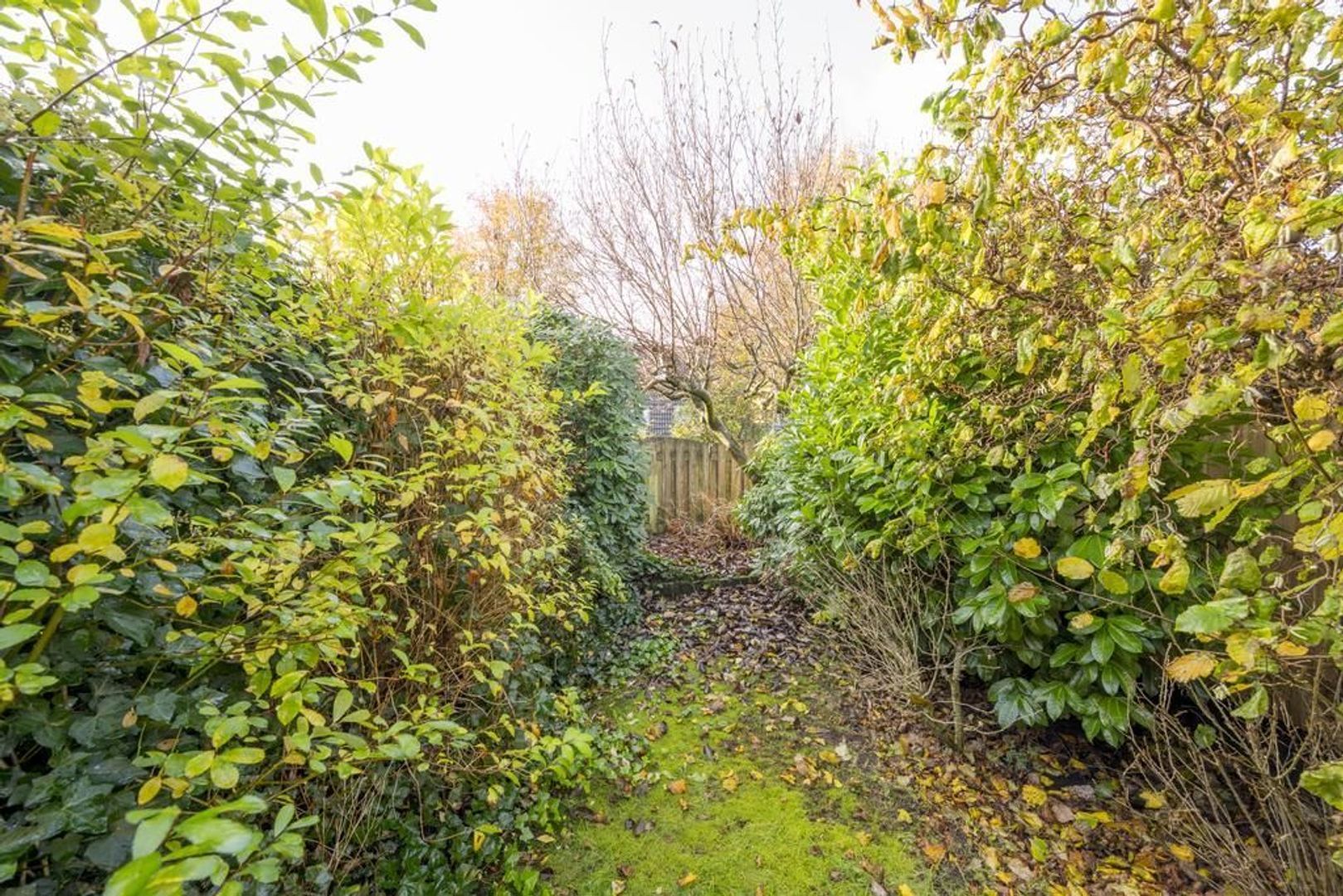 Brahmslaan 103, Nijkerk foto-23