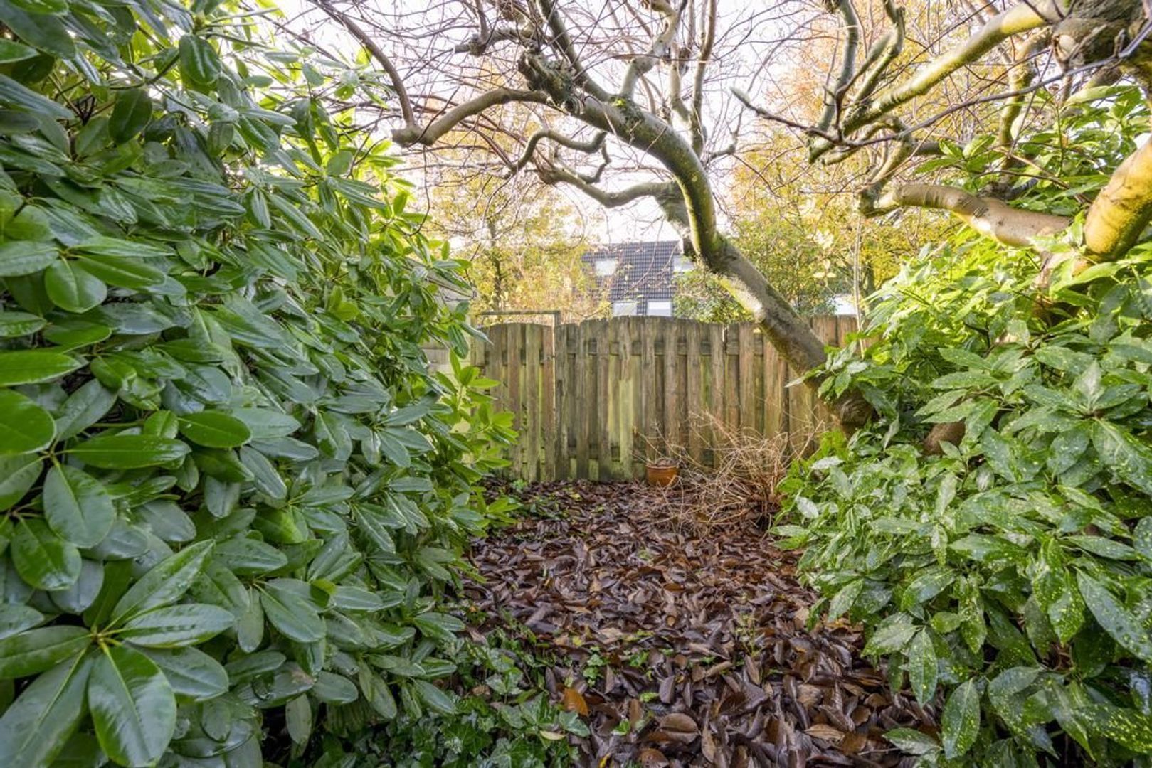 Brahmslaan 103, Nijkerk foto-24