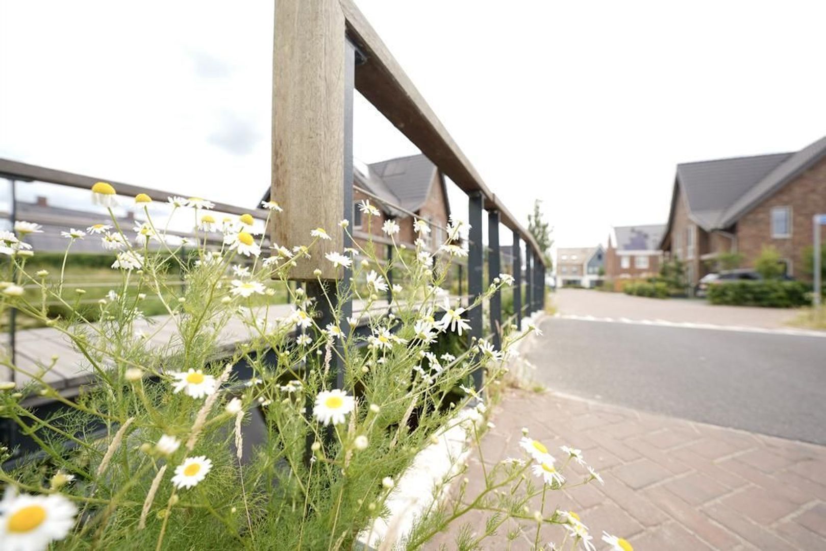 Wiel 38, Nijkerk foto-52