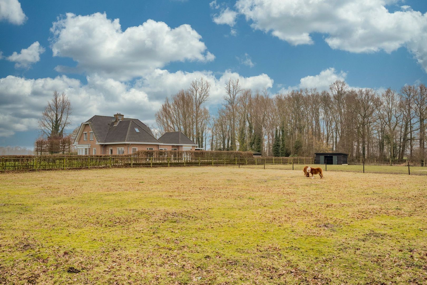 Hoevelakenseweg 224, Terschuur foto-87