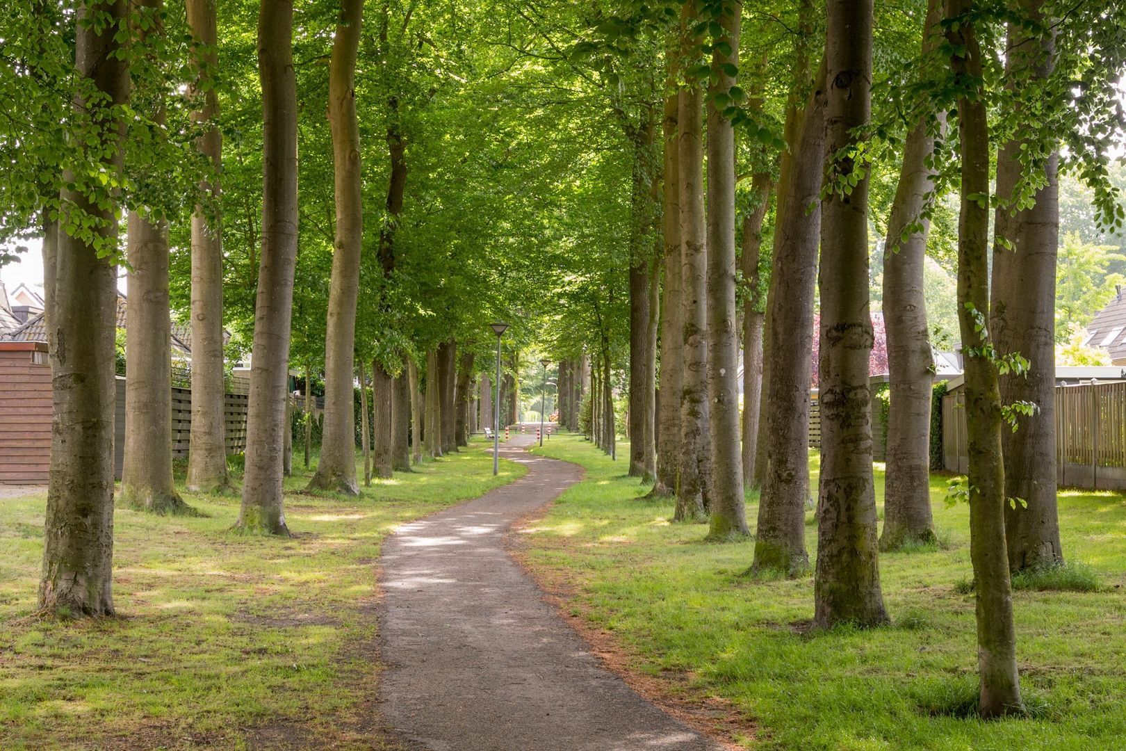 Hoofdlaan 4, Putten foto-41