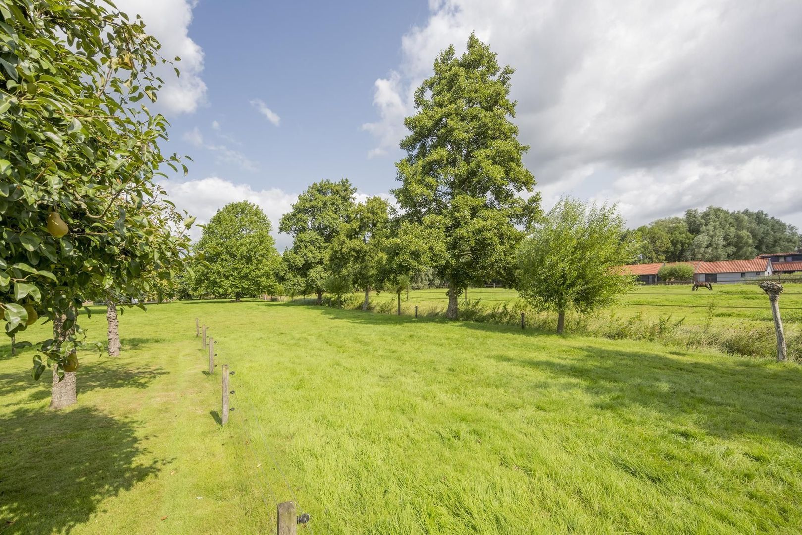 Damweg 8, Zwartebroek foto-53