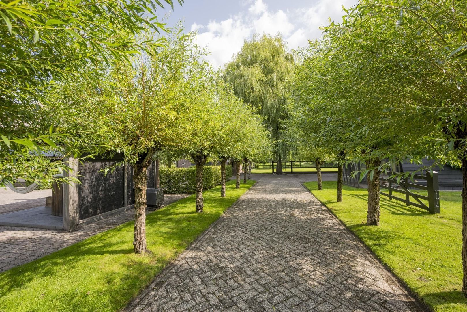 Damweg 8, Zwartebroek foto-54