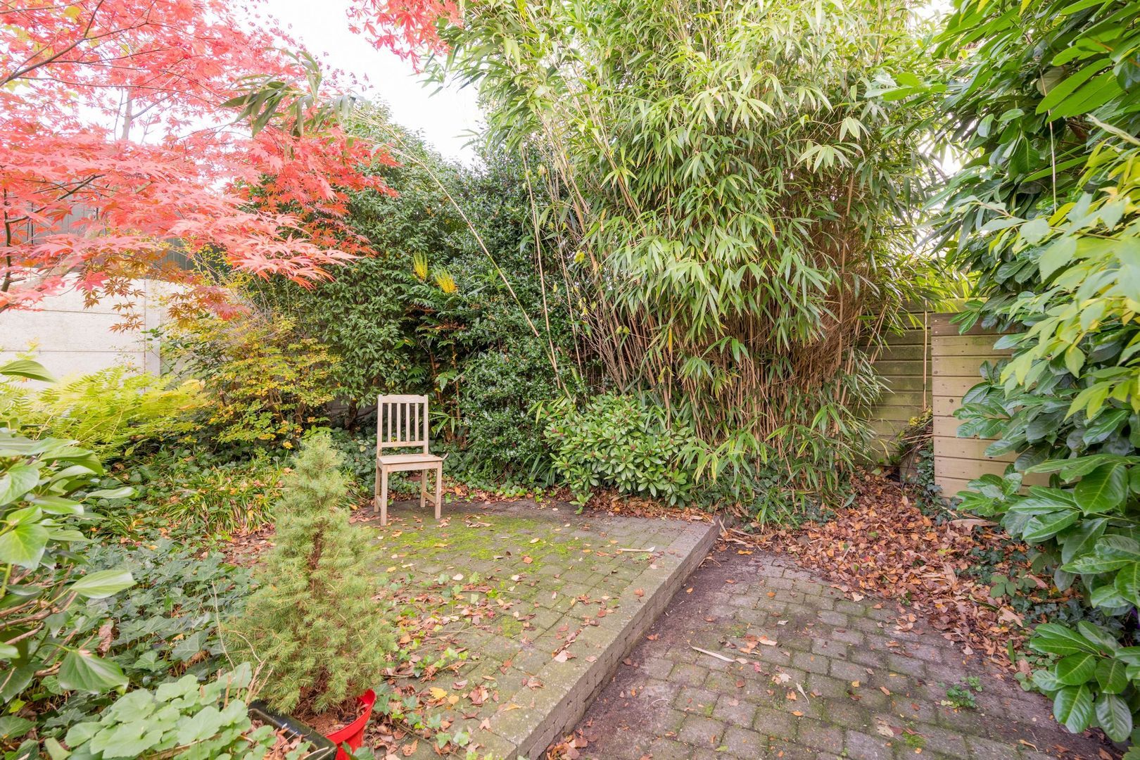 Berkenlaan 12, Nijkerk foto-36