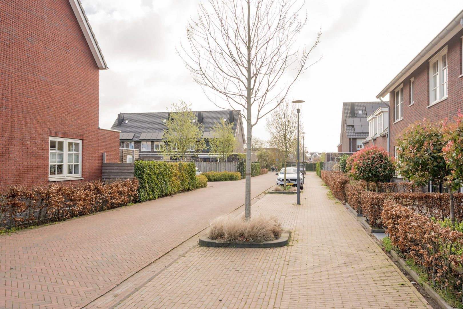 Rietrand 12, Nijkerk foto-36