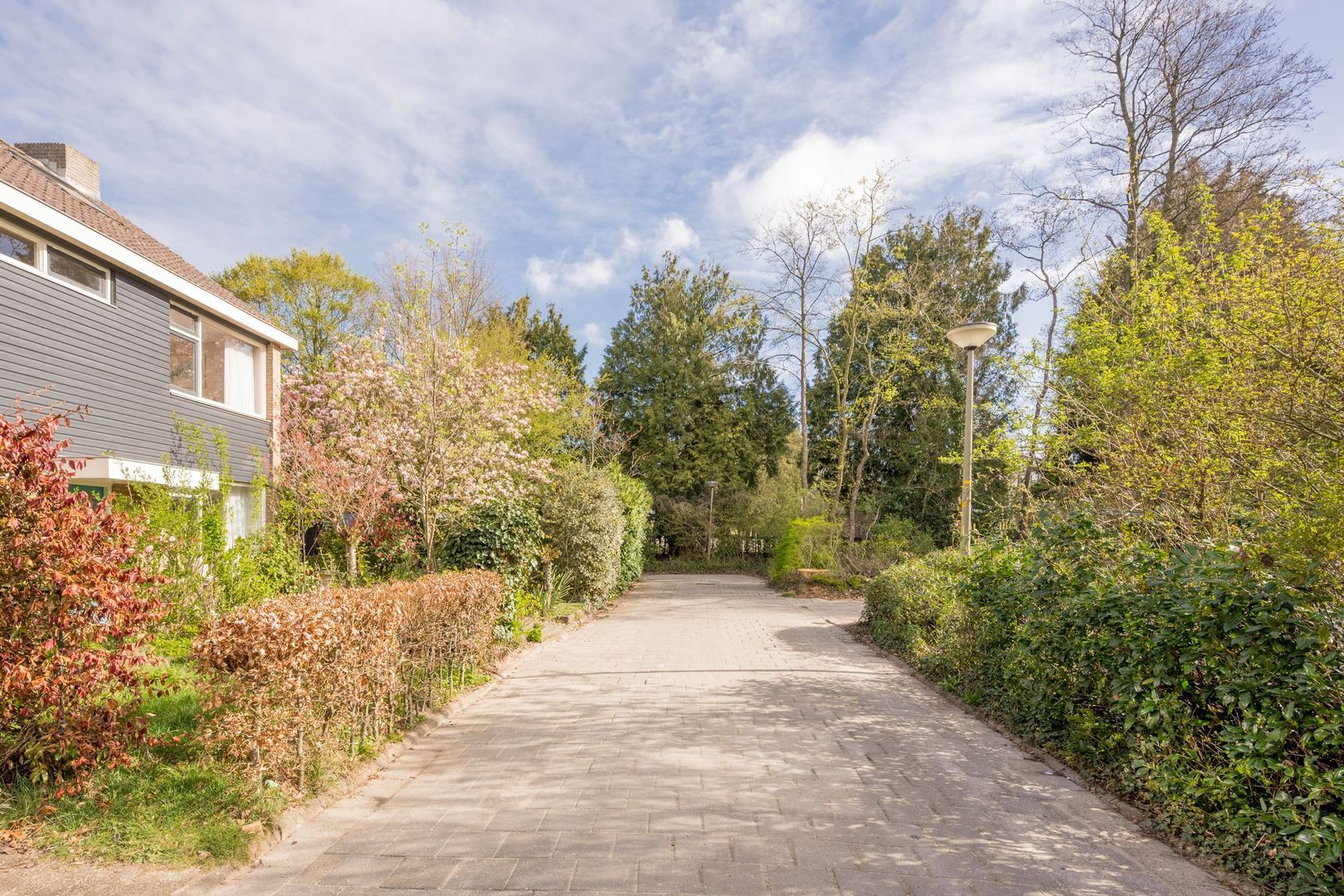 Van Oldenbarneveltstraat 18, Nijkerk foto-41