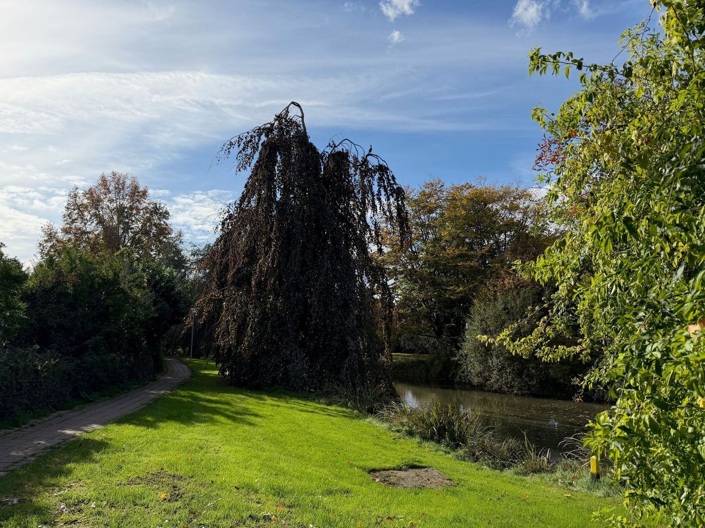 Valkenhof 85, Nijkerk foto-40