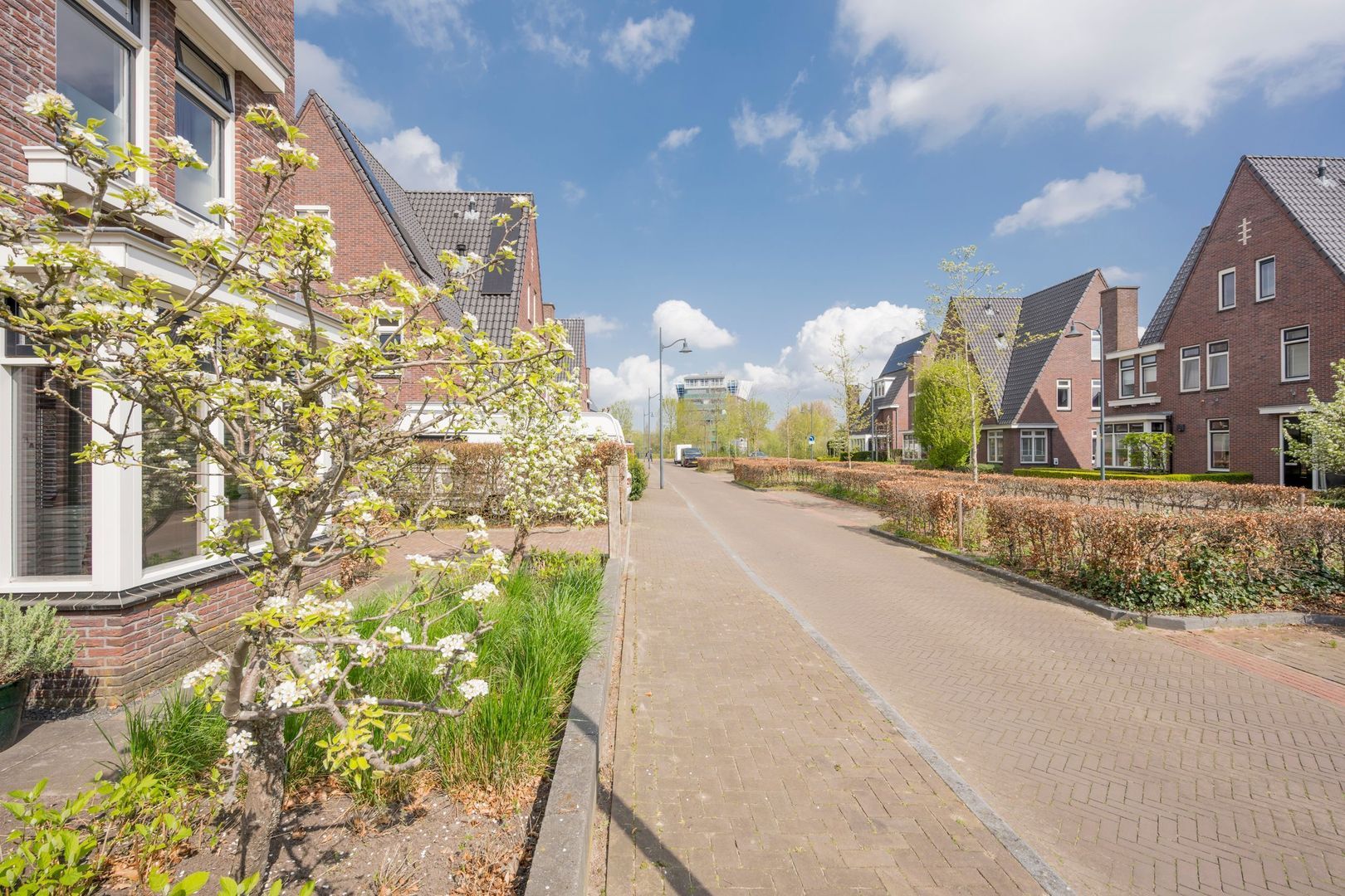 Kleine Vos 4, Nijkerk foto-41