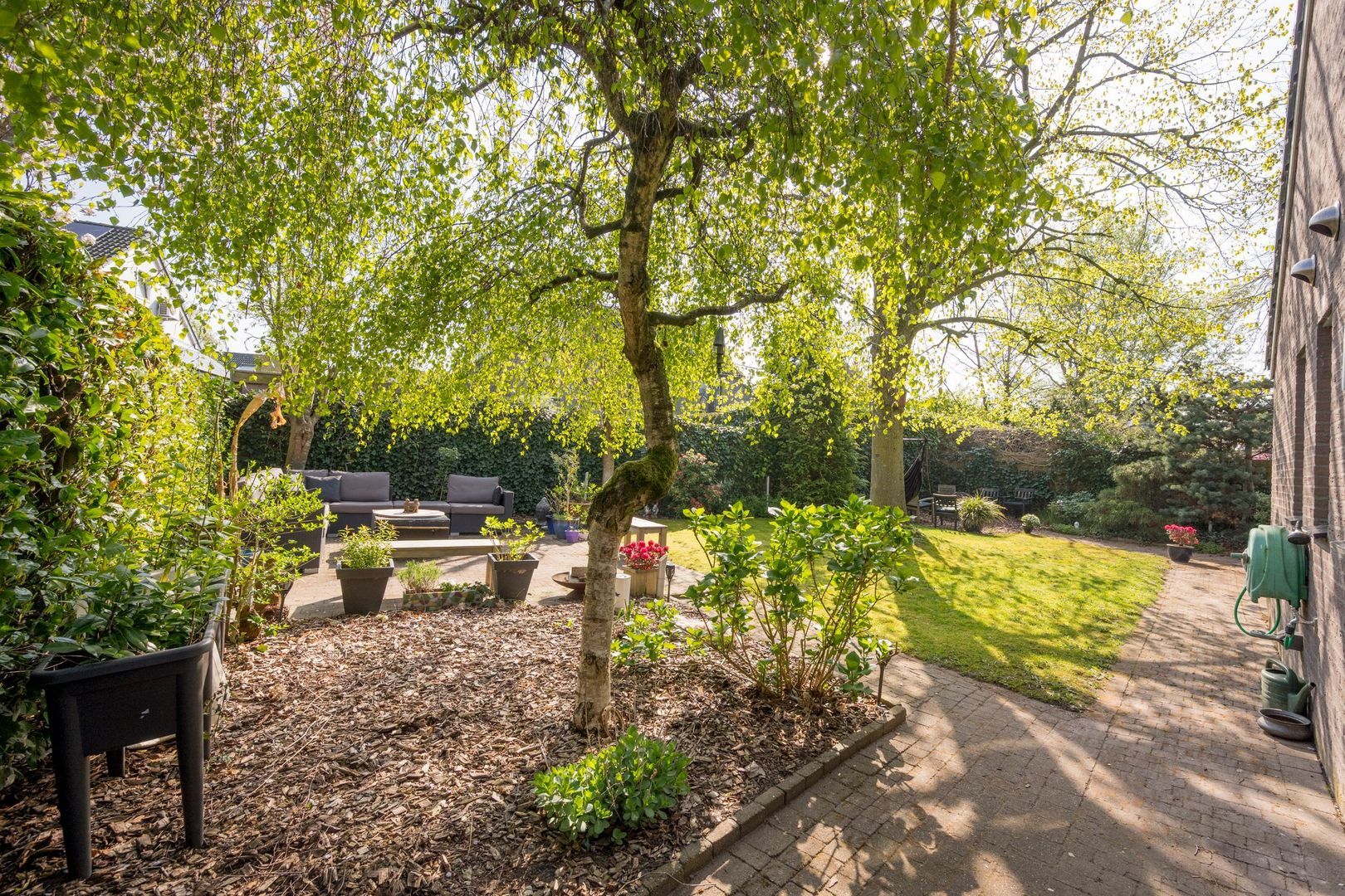 Boterbloem 25, Nijkerk foto-46