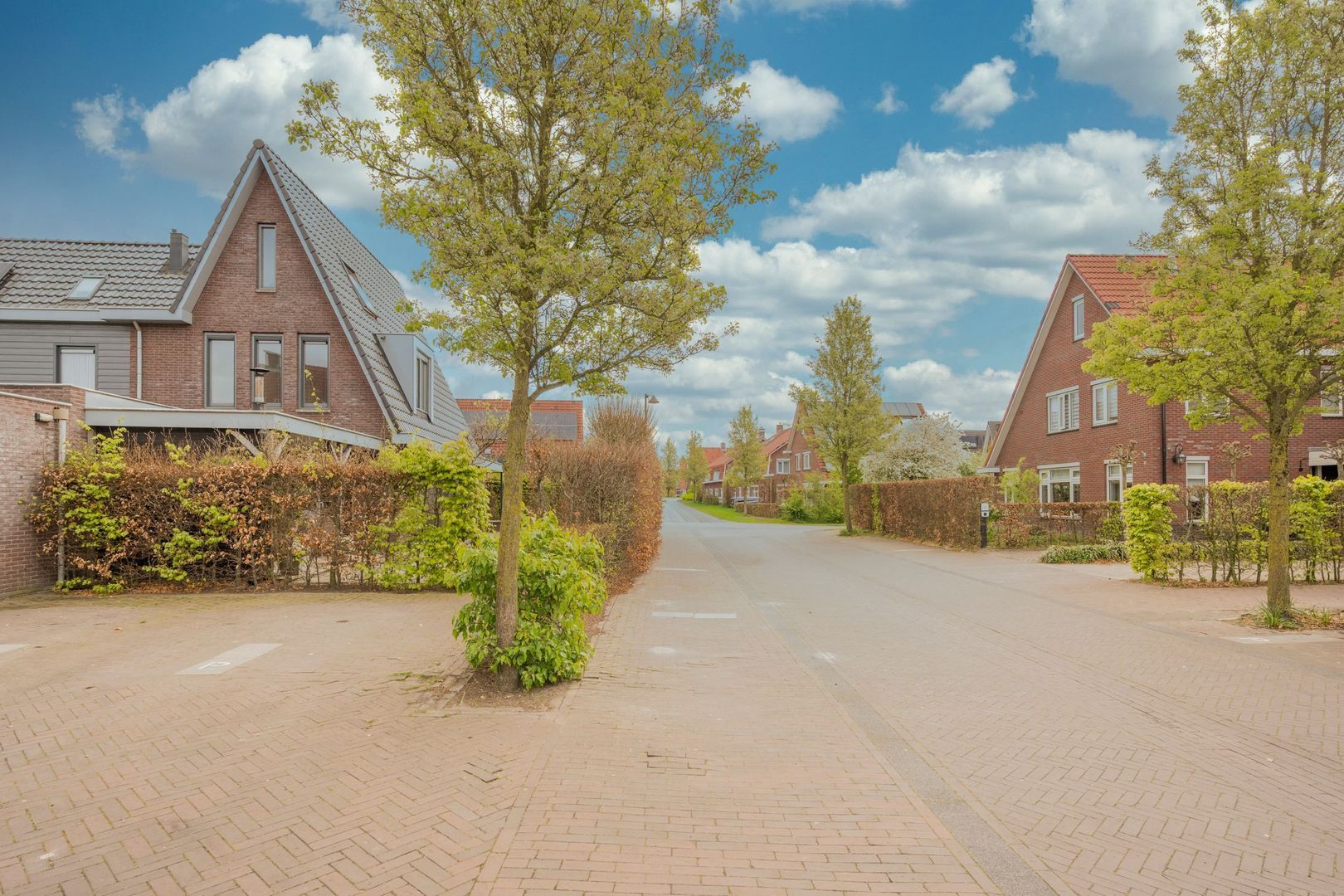 Jansgoed 14, Putten foto-33