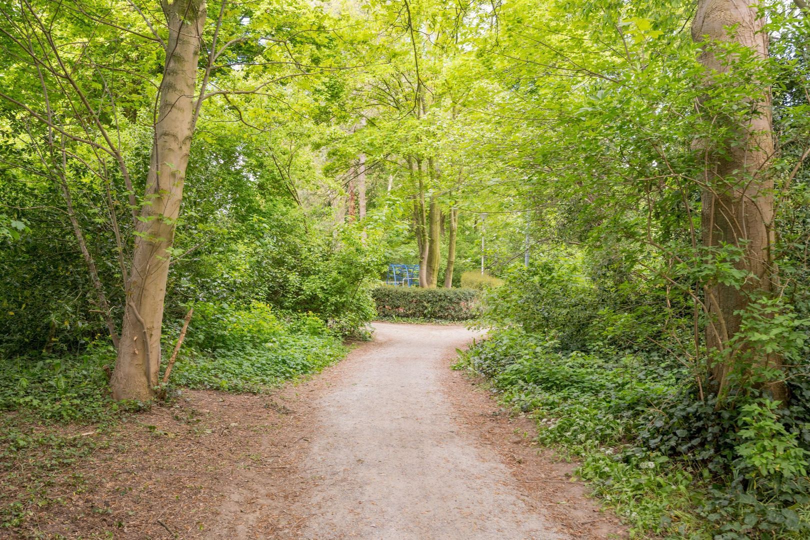 Larixlaan 74, Nijkerk foto-53
