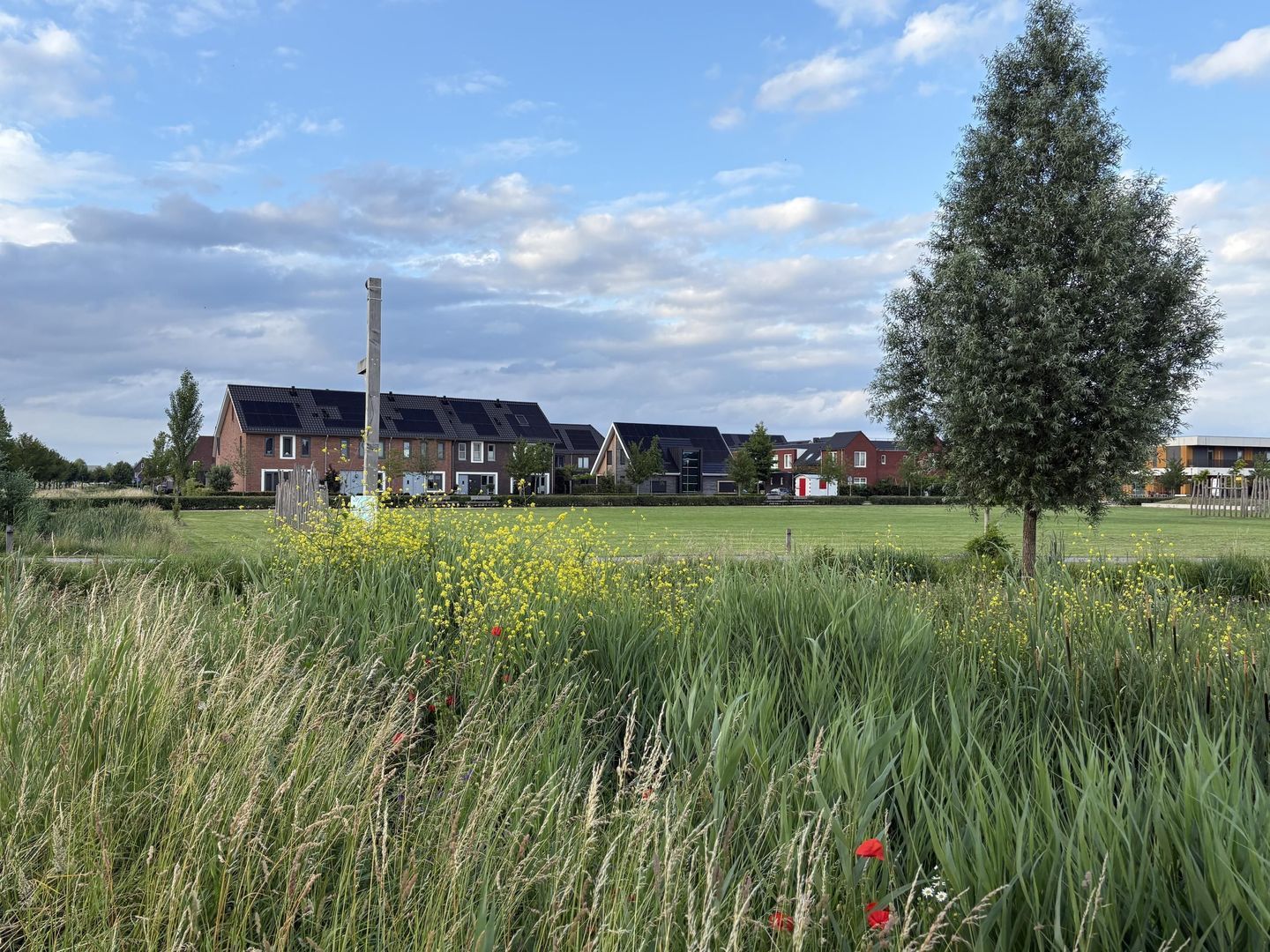 Grashof 7, Nijkerk foto-35