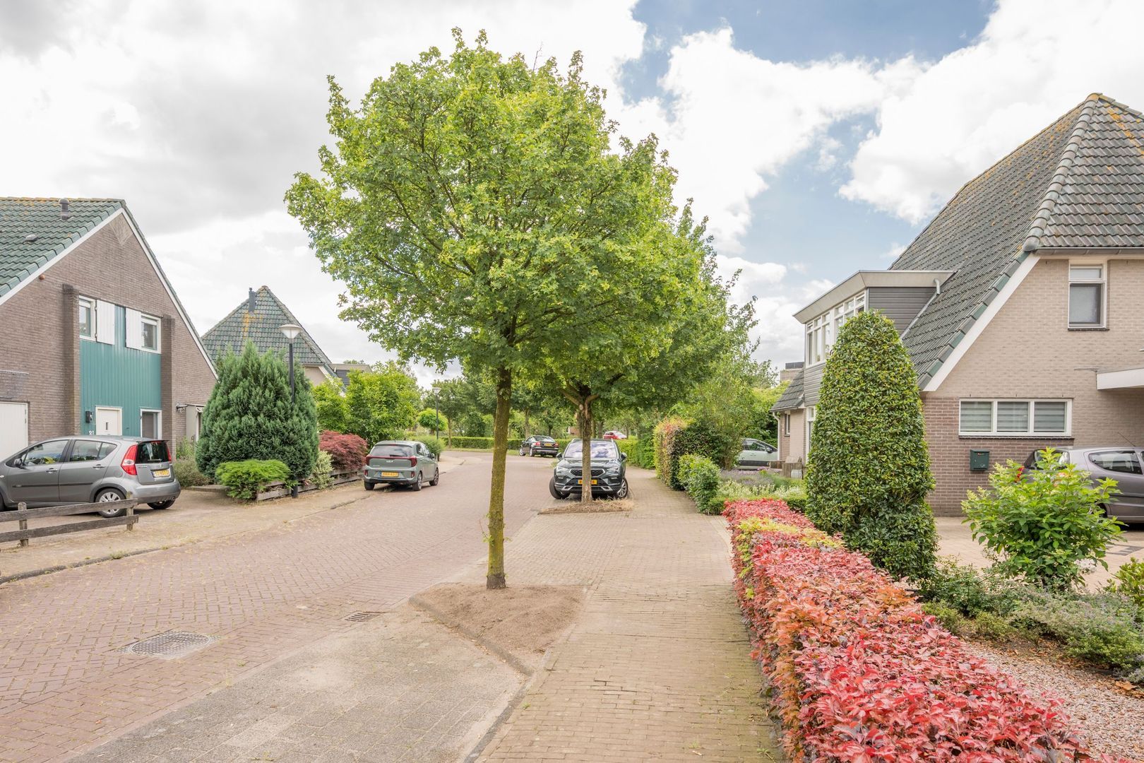 Boterbloem 6, Nijkerk foto-41