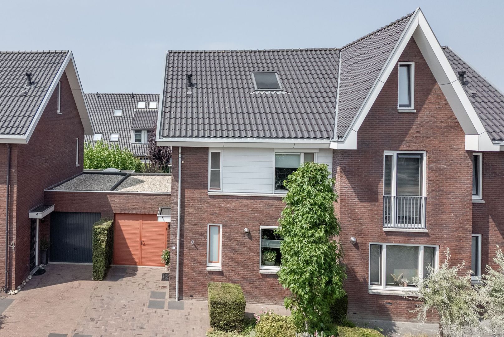 Argusvlinder 6, Nijkerk foto-42